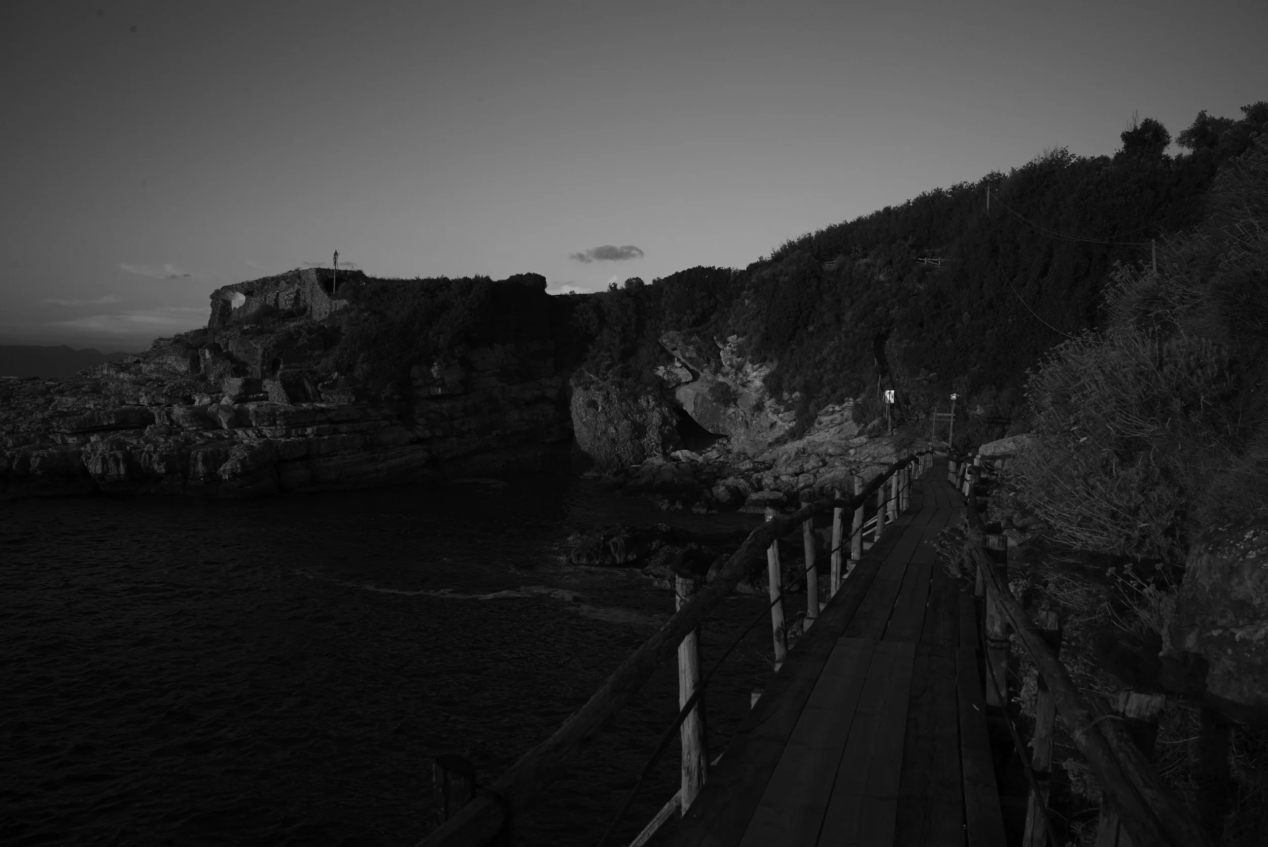 L1009301.jpg