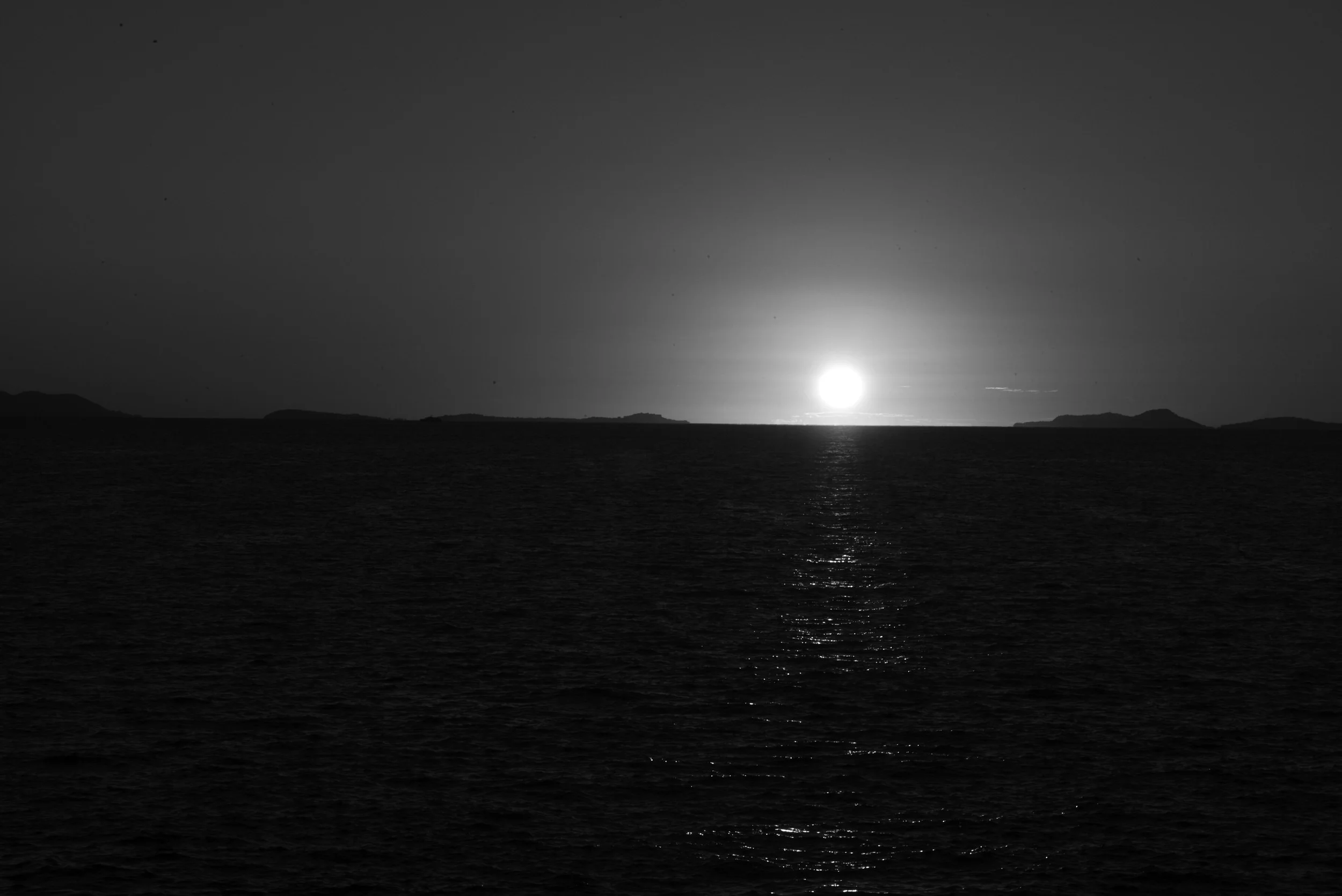 L1009307.jpg