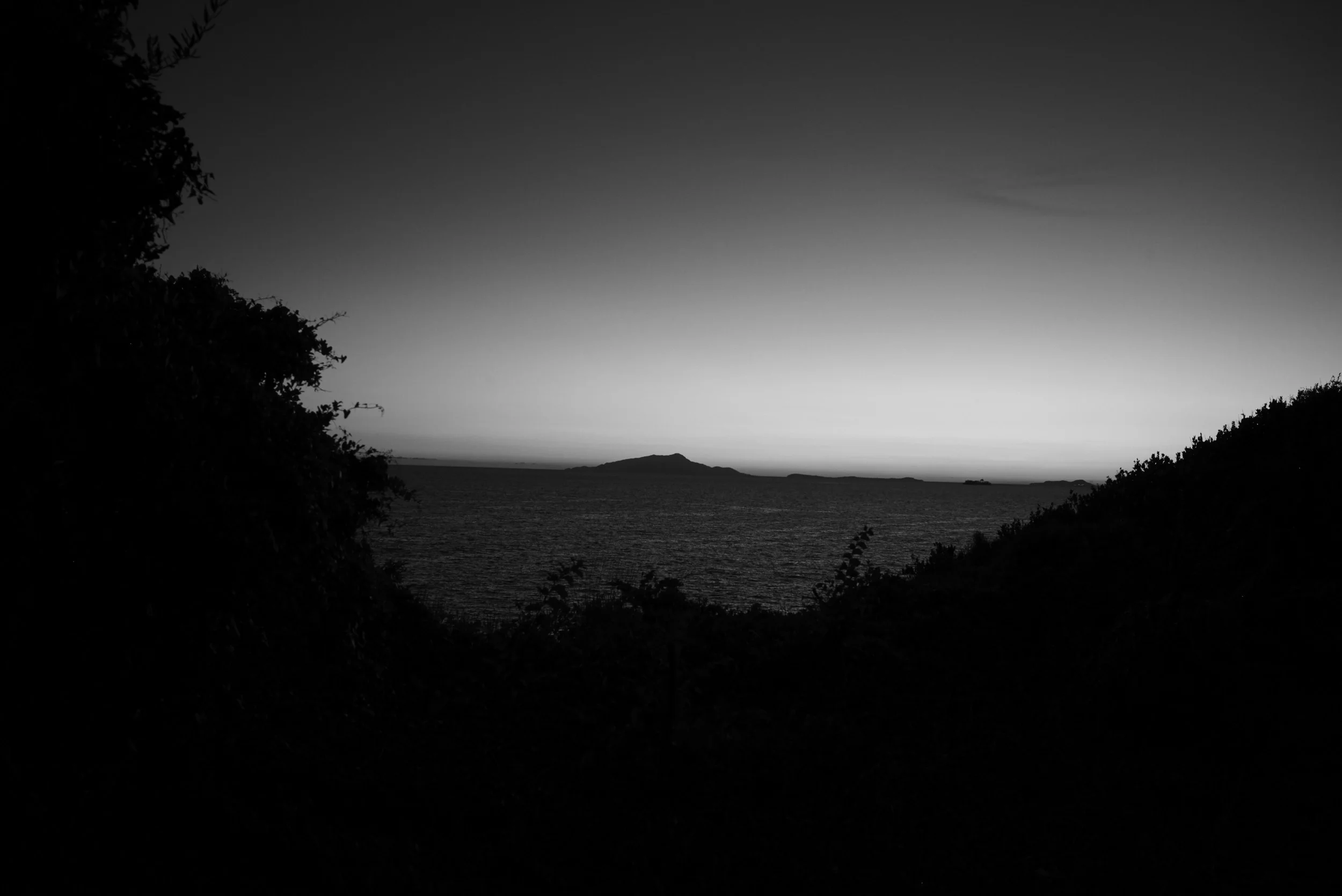 L1009356.jpg
