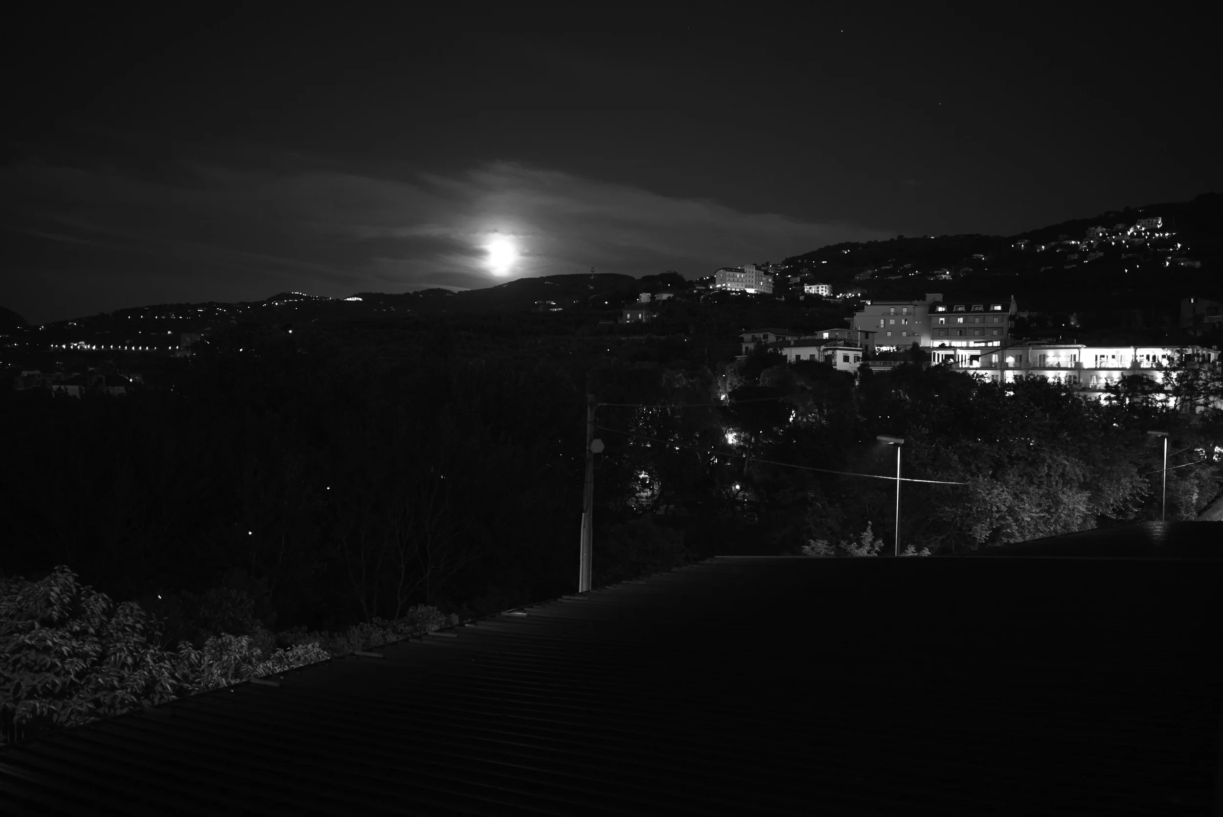 L1009360.jpg