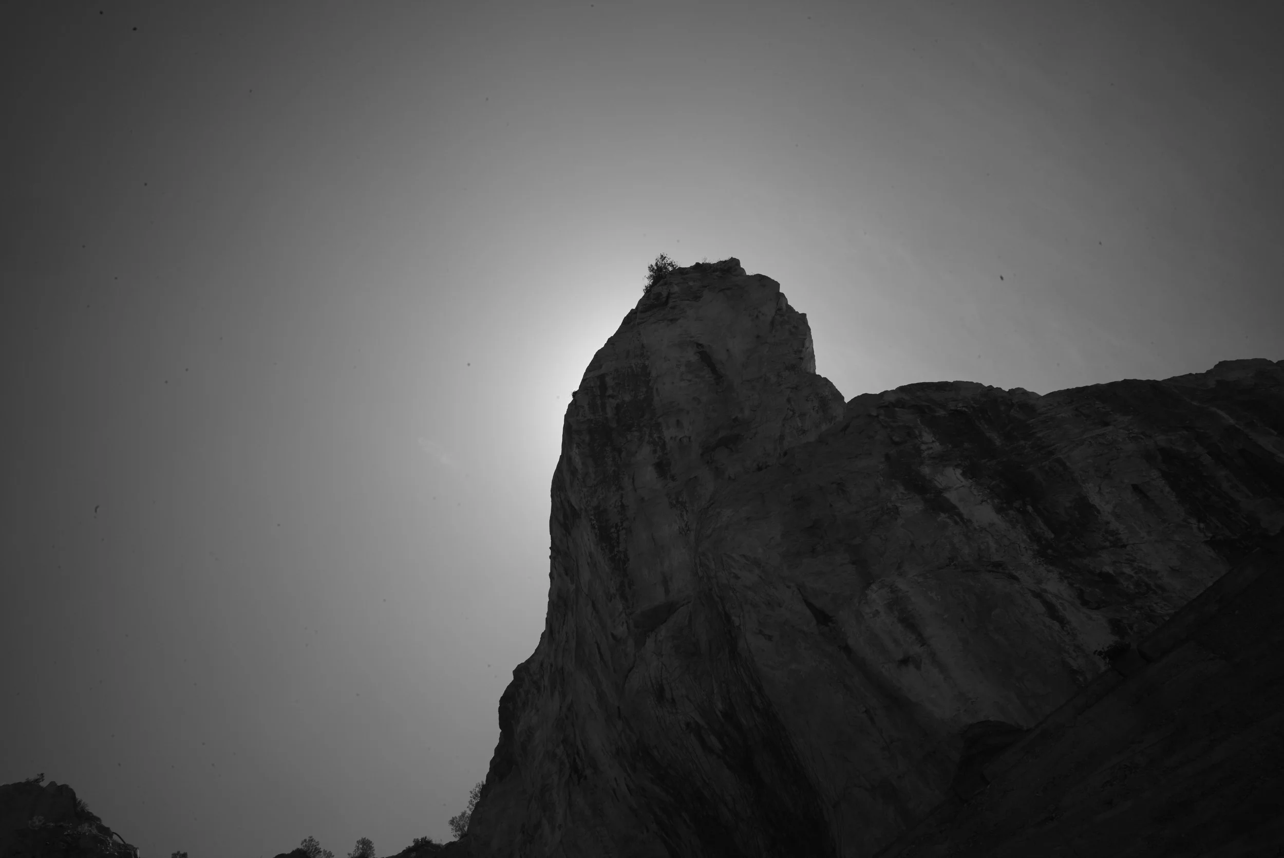L1009594.jpg
