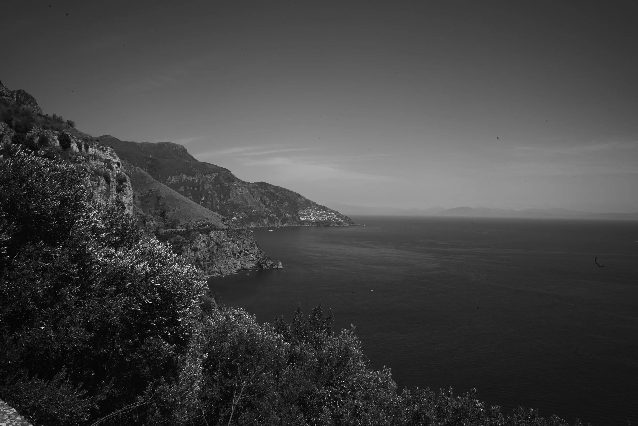 L1009637.jpg