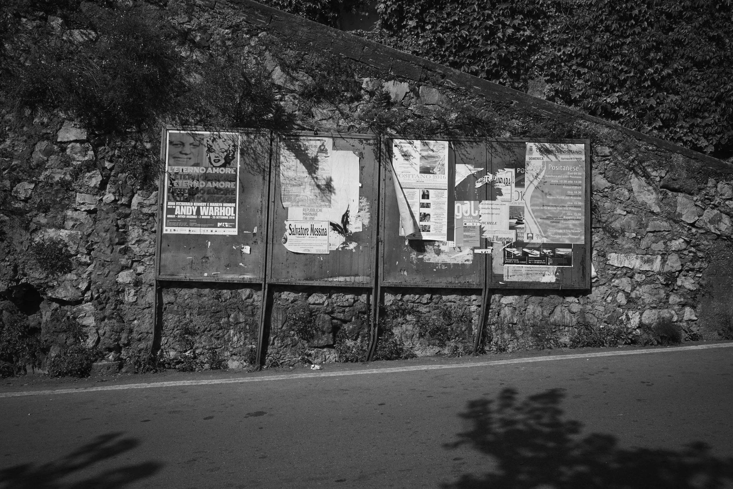 L1009730.jpg