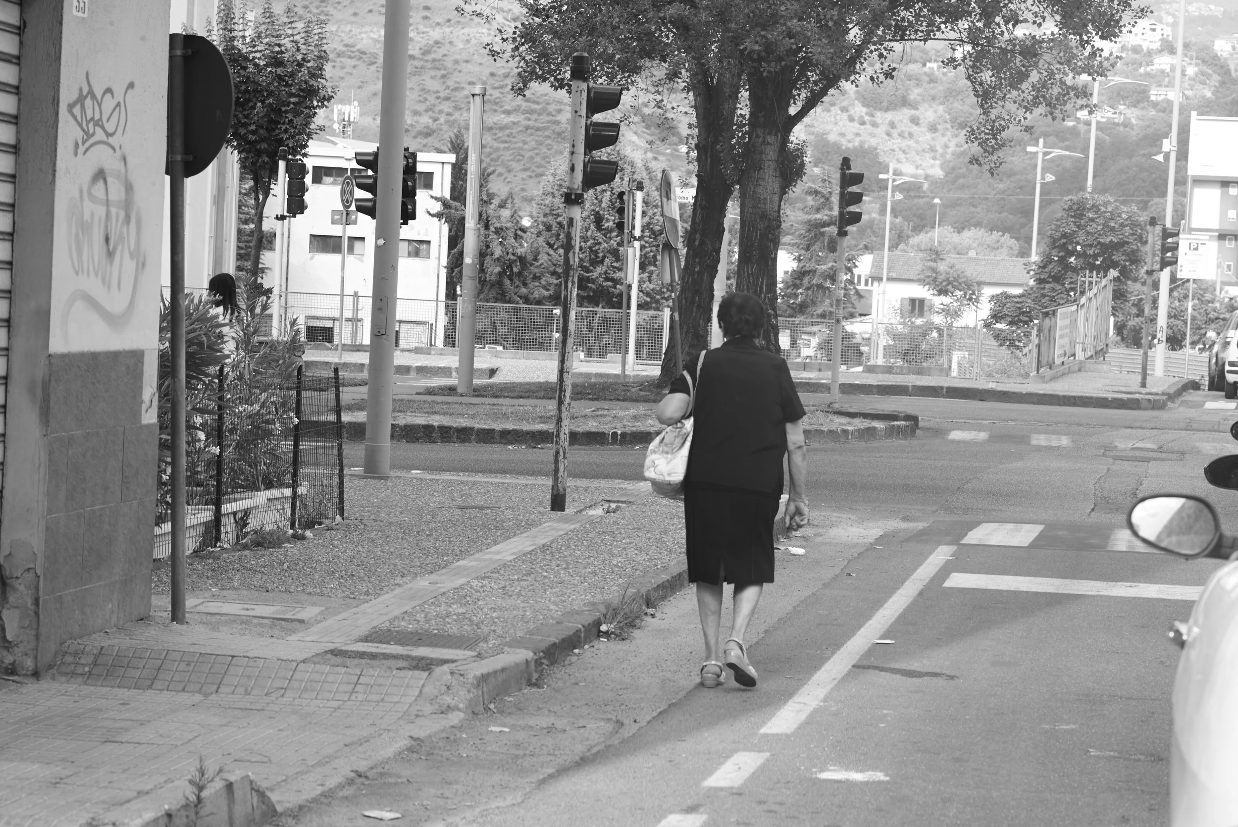L1000284.jpg