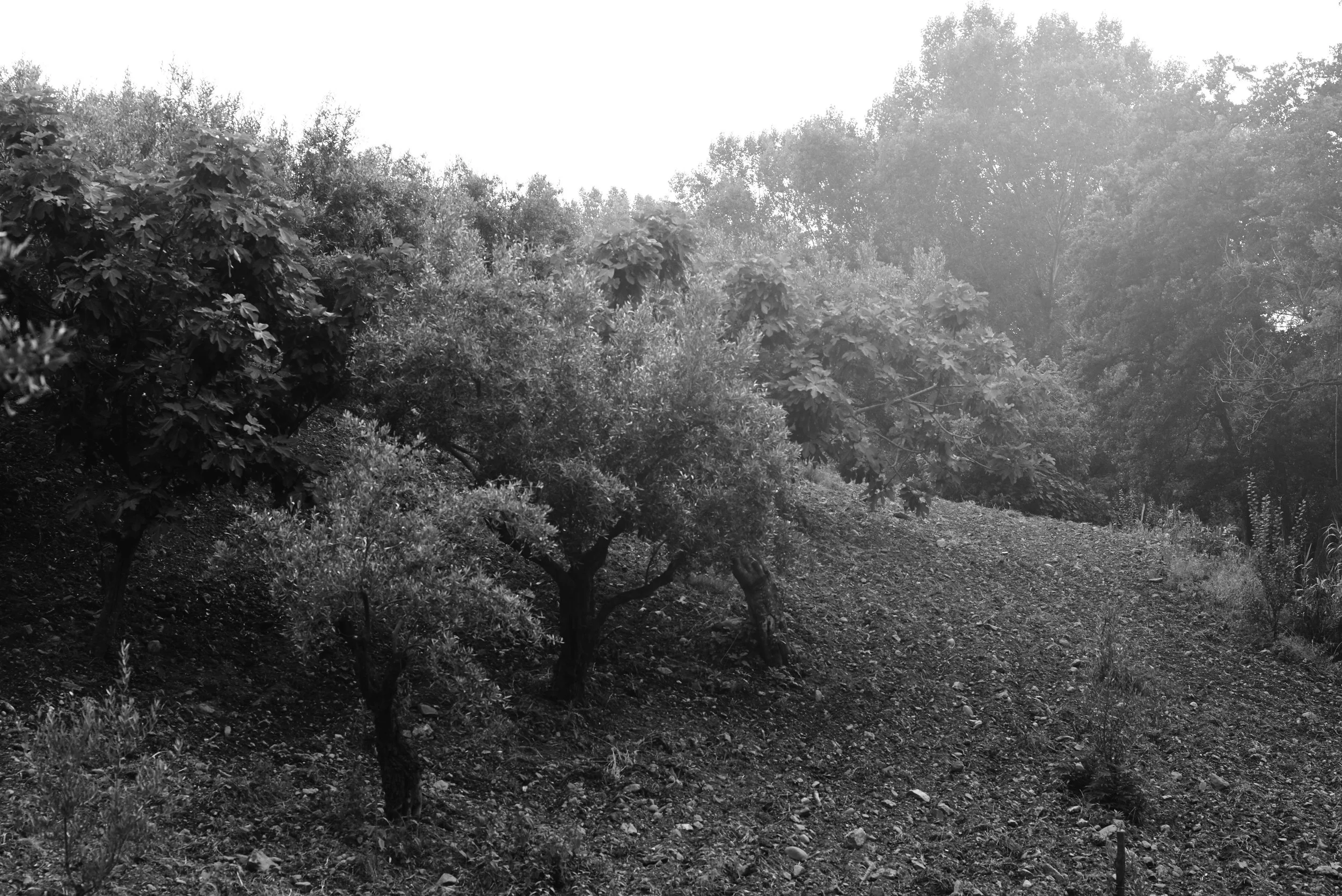 L1000402.jpg