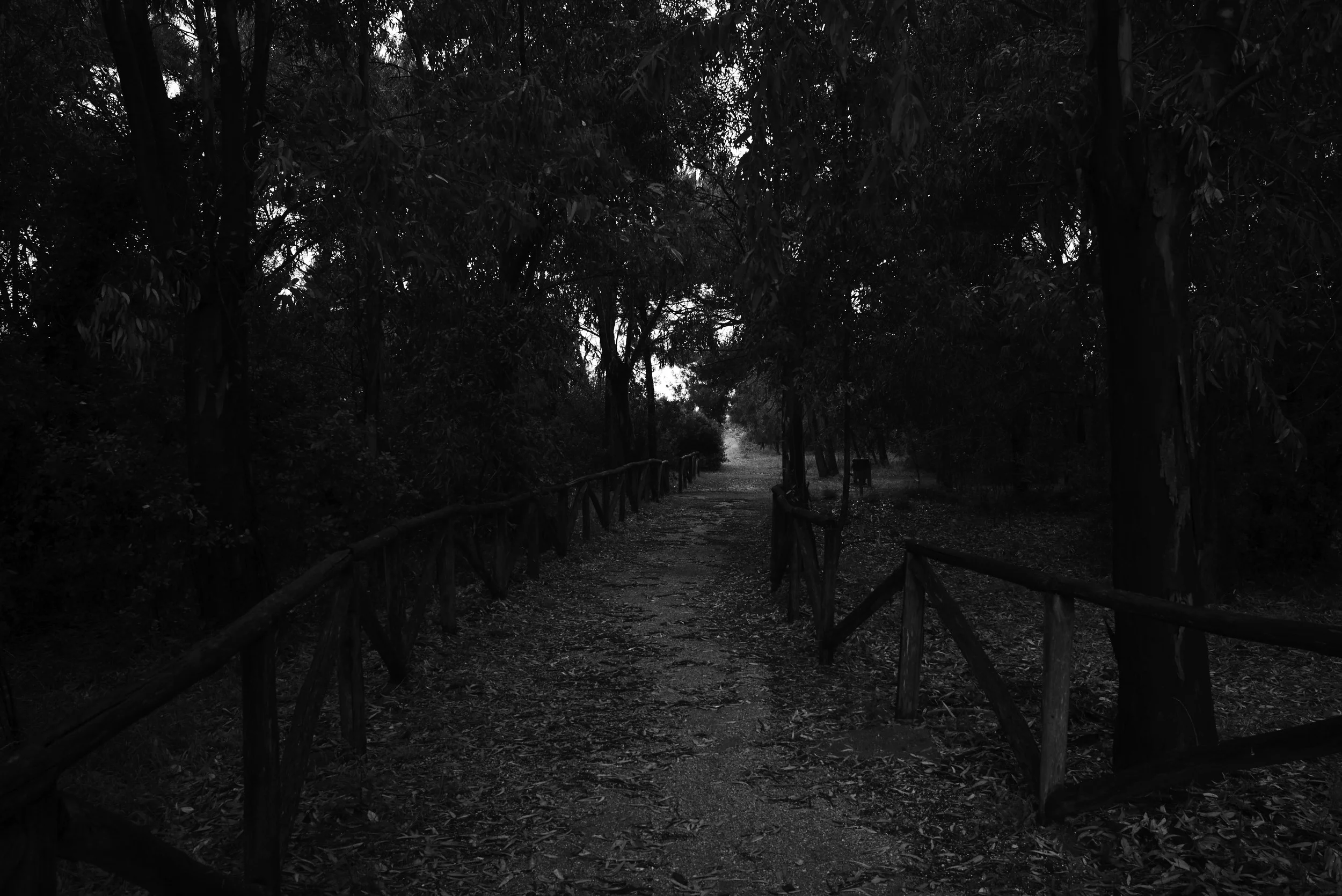 L1000415.jpg