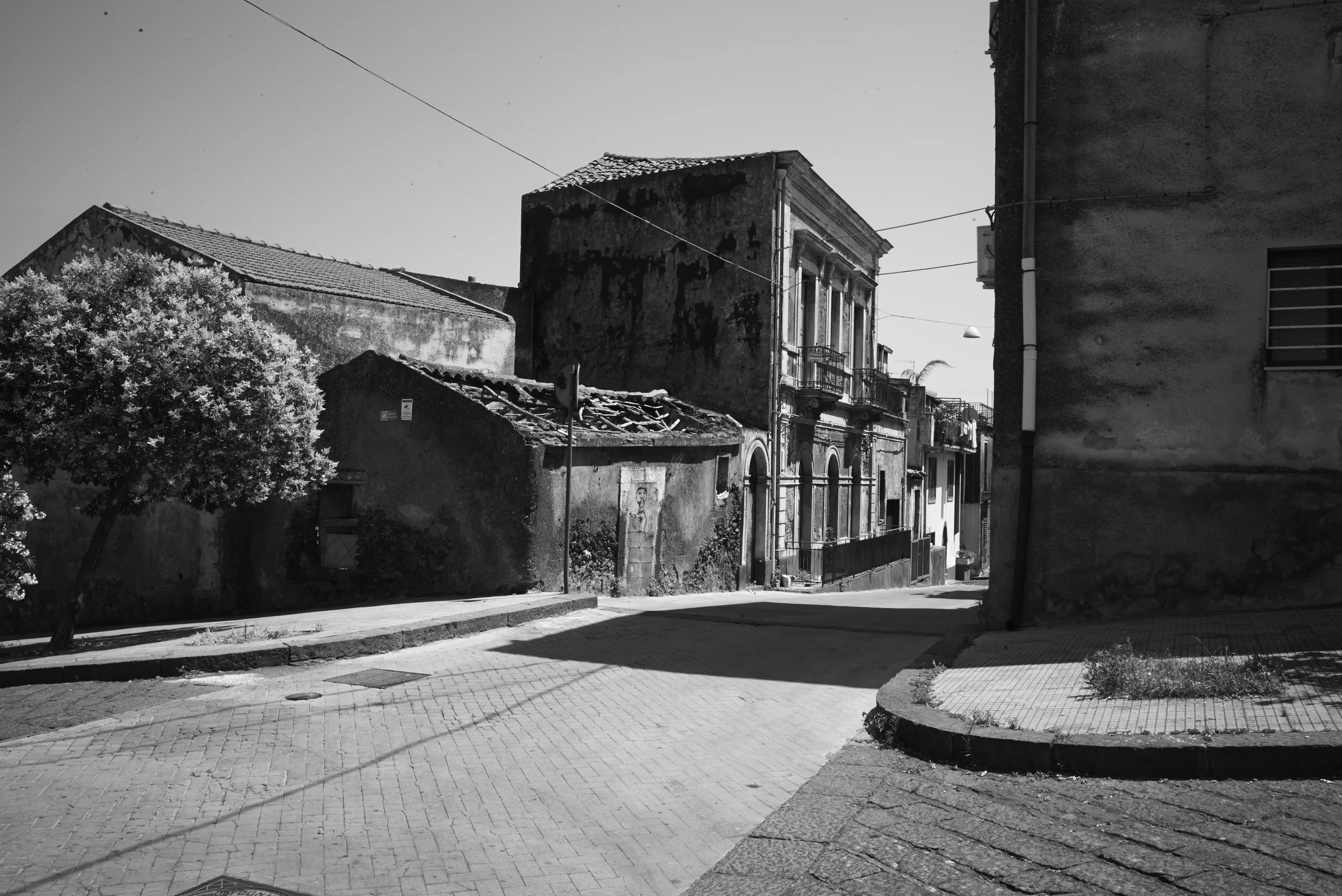 L1000615.jpg