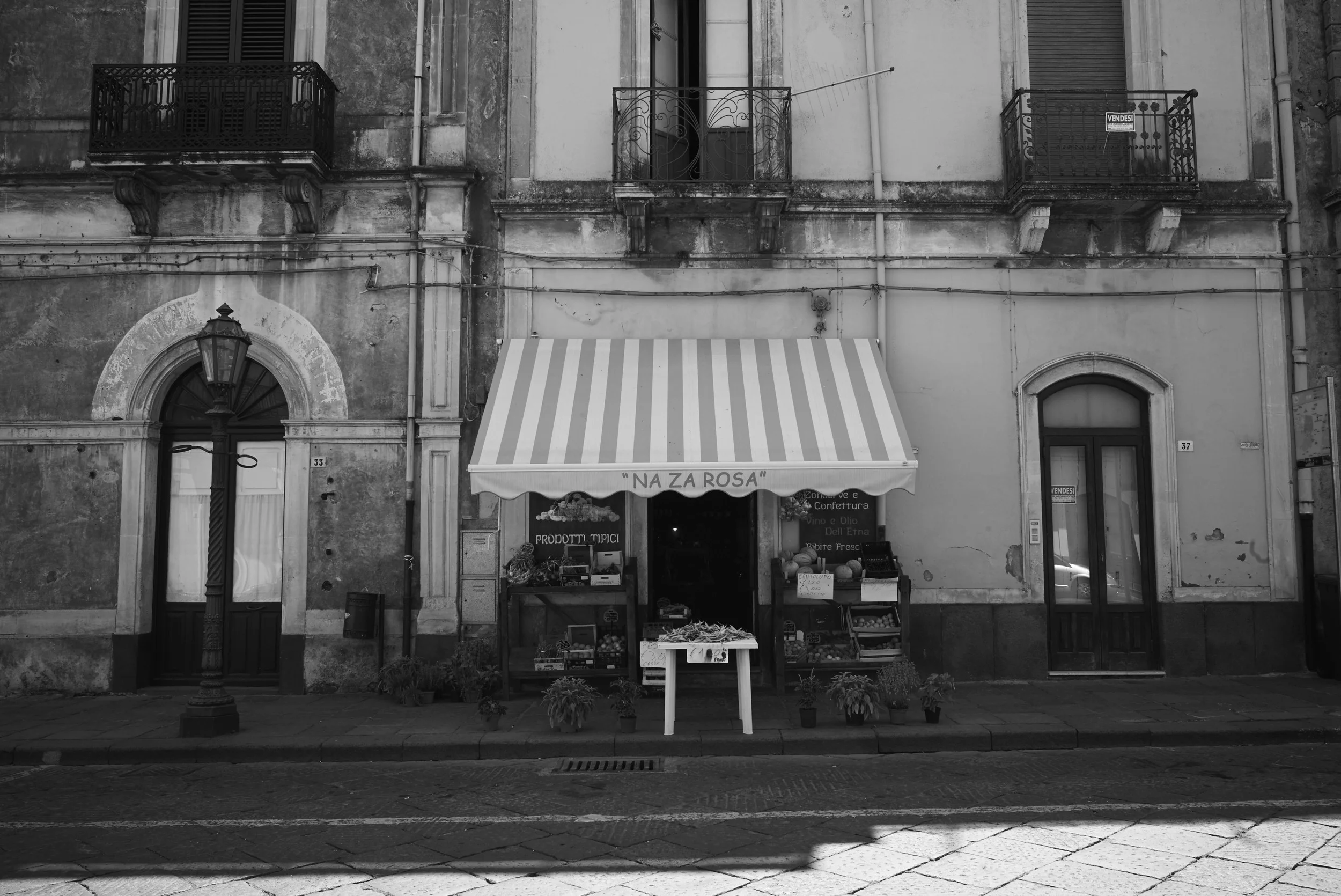 L1000645.jpg