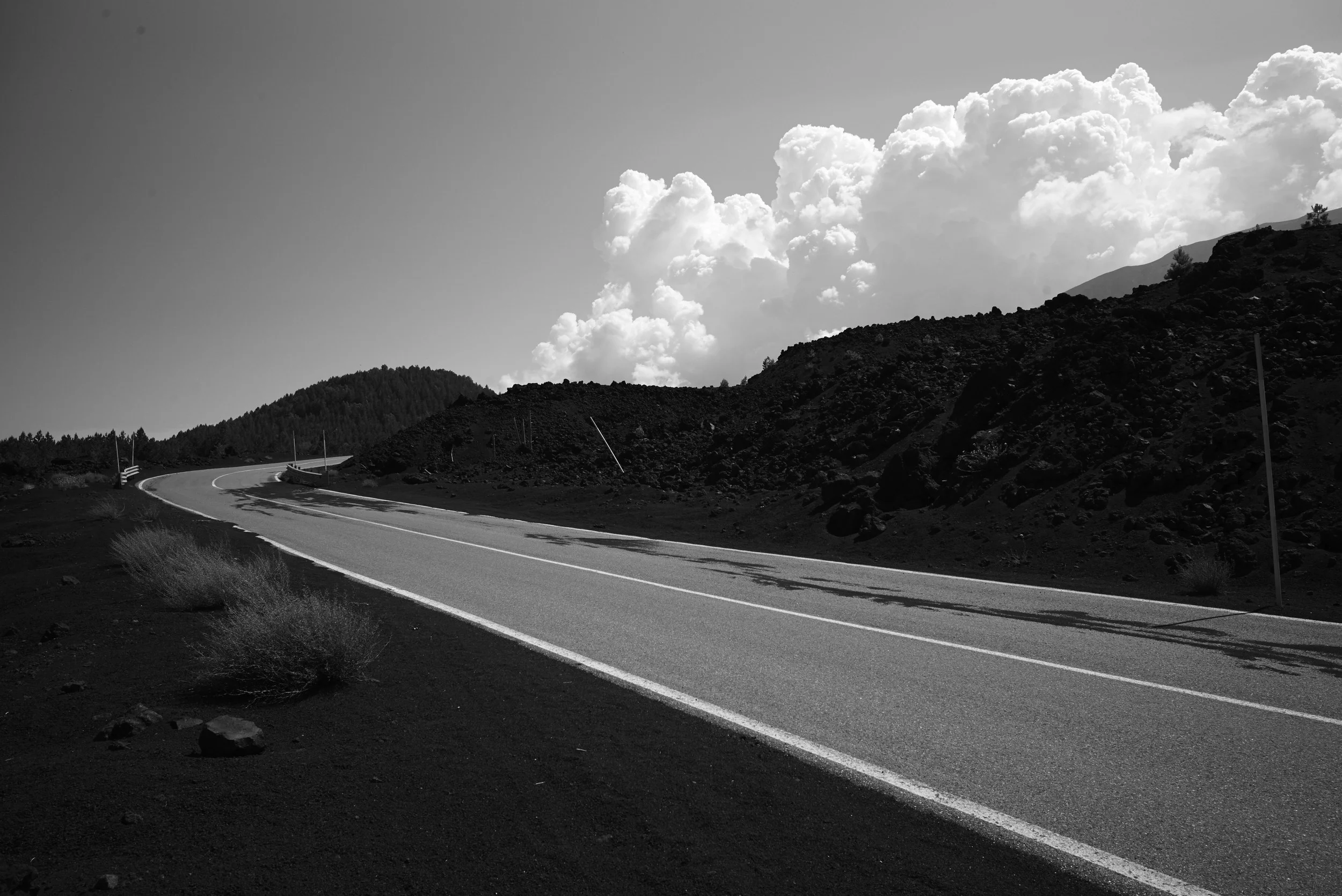 L1000667.jpg
