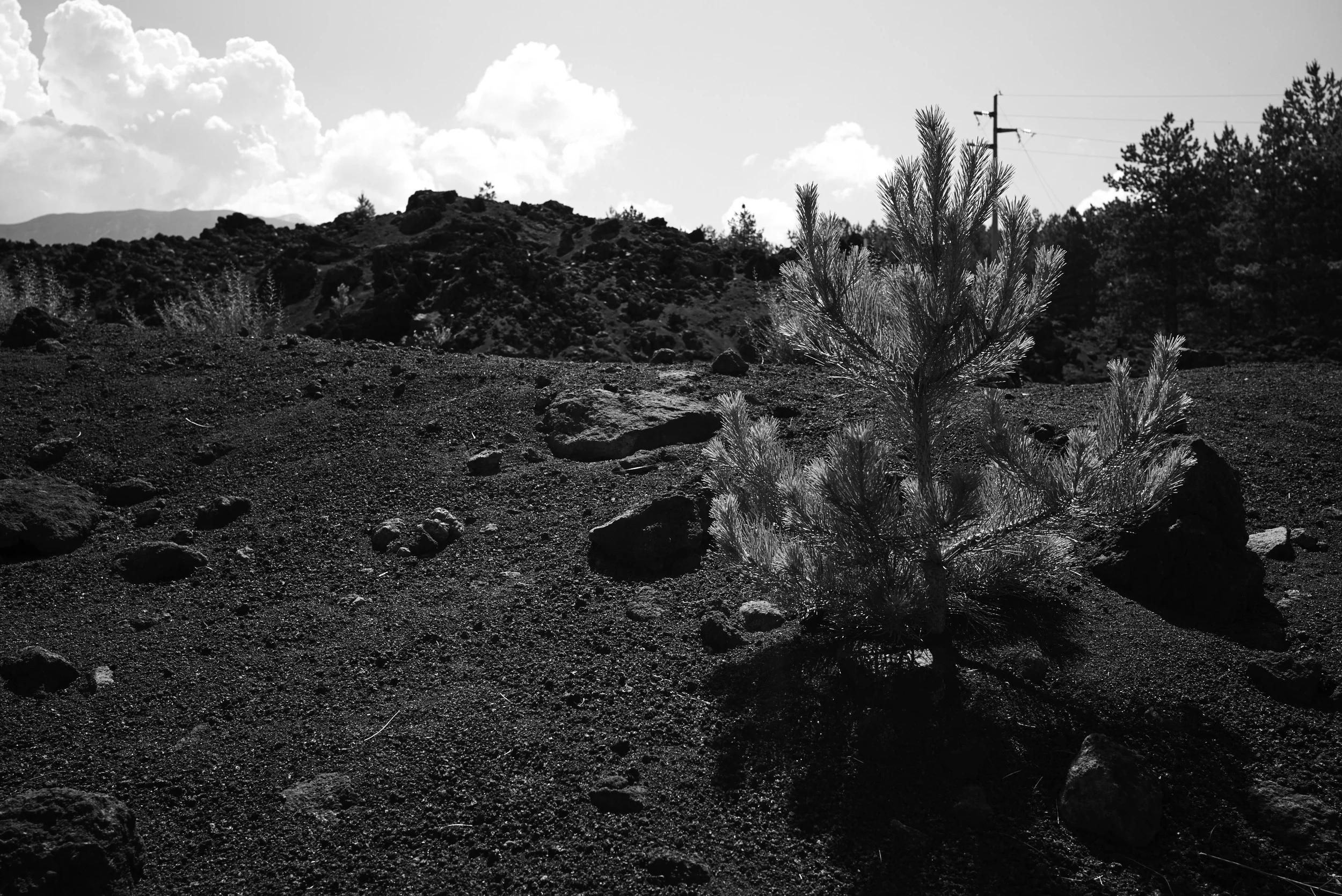 L1000678.jpg