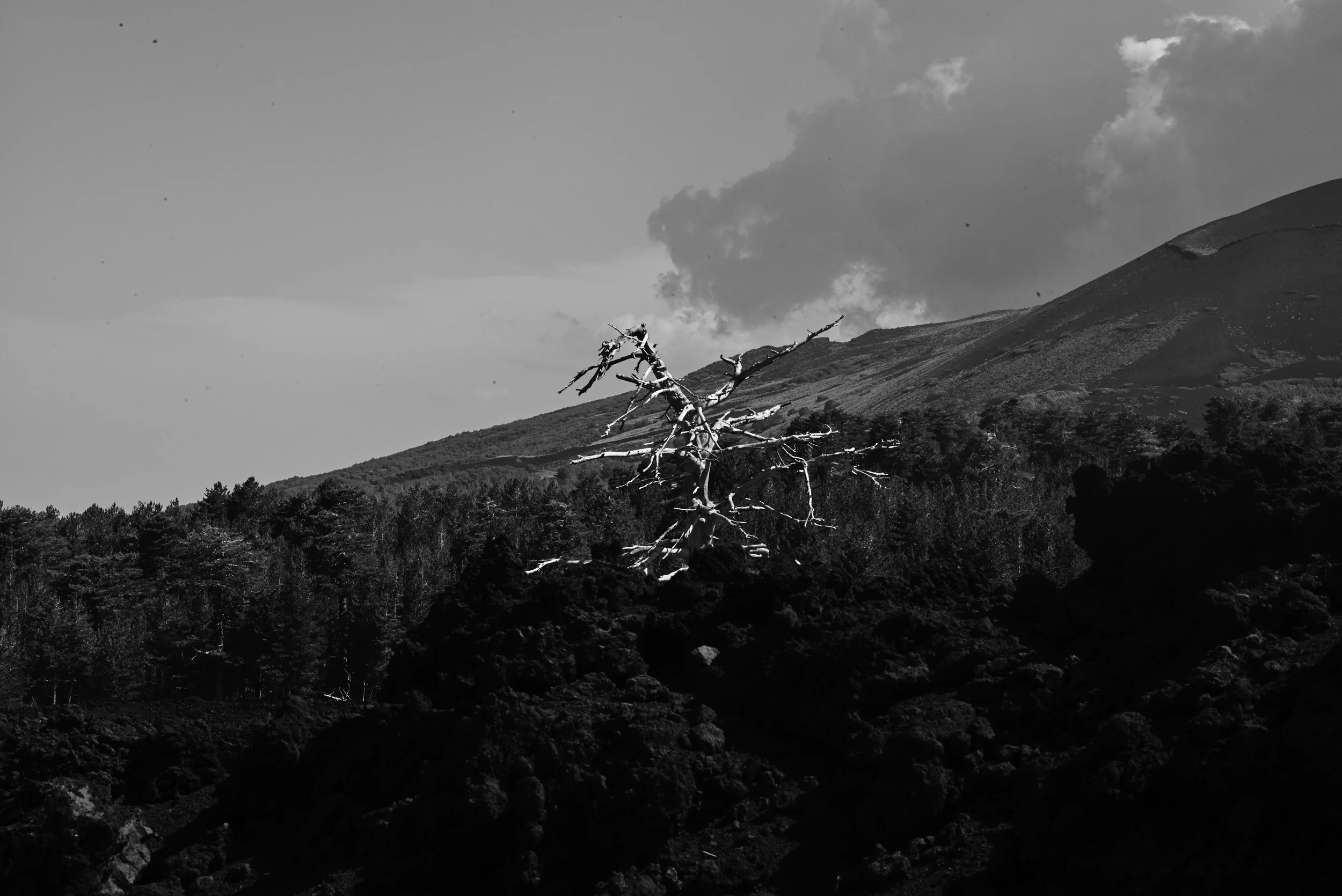 L1000728.jpg