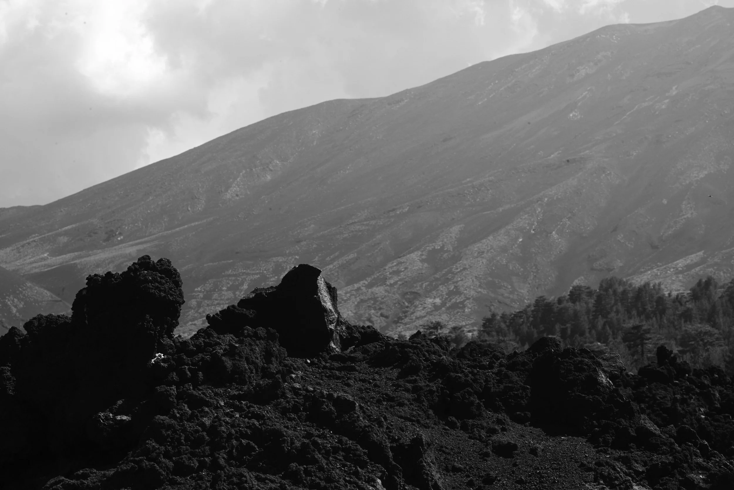 L1000732.jpg