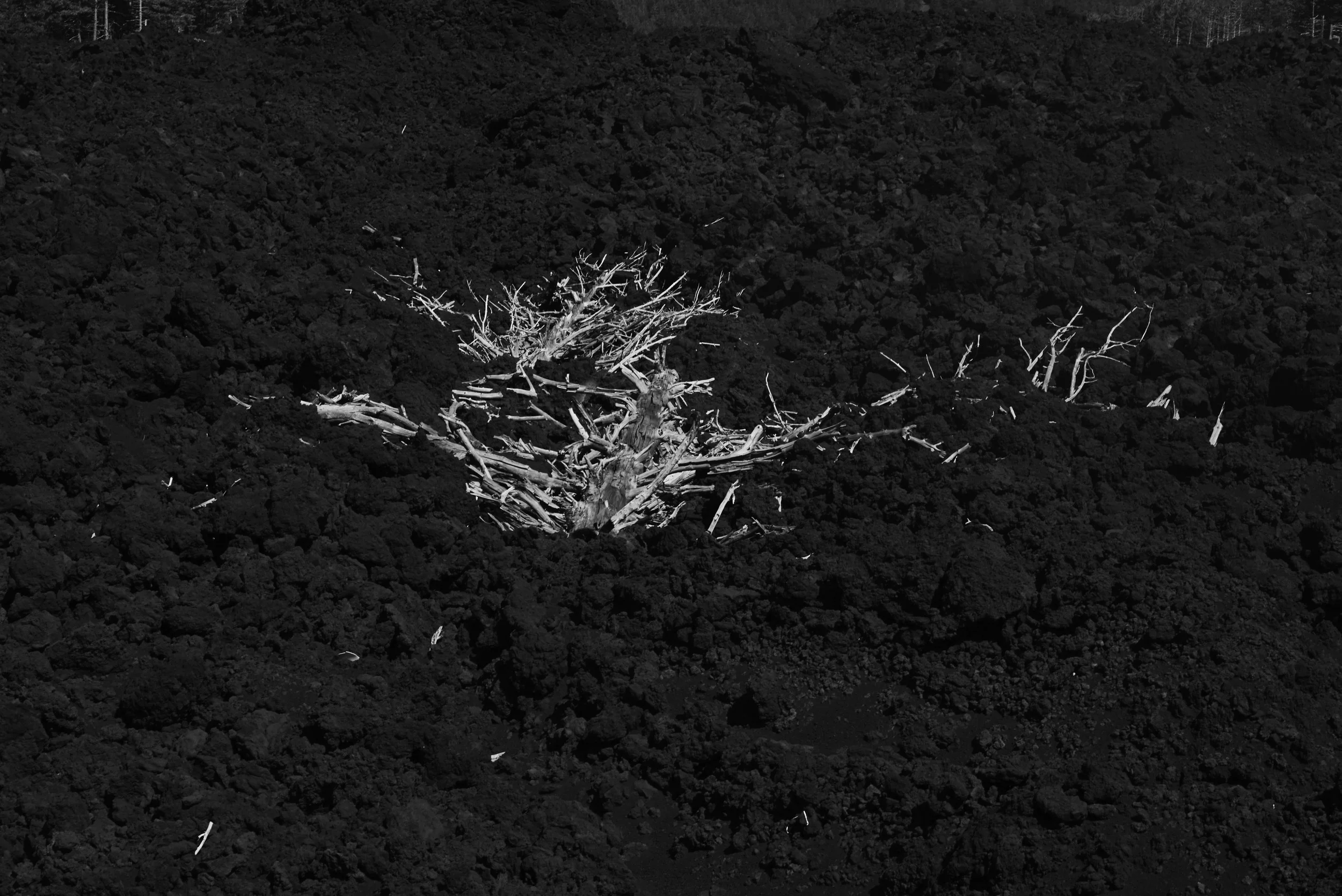 L1000737.jpg