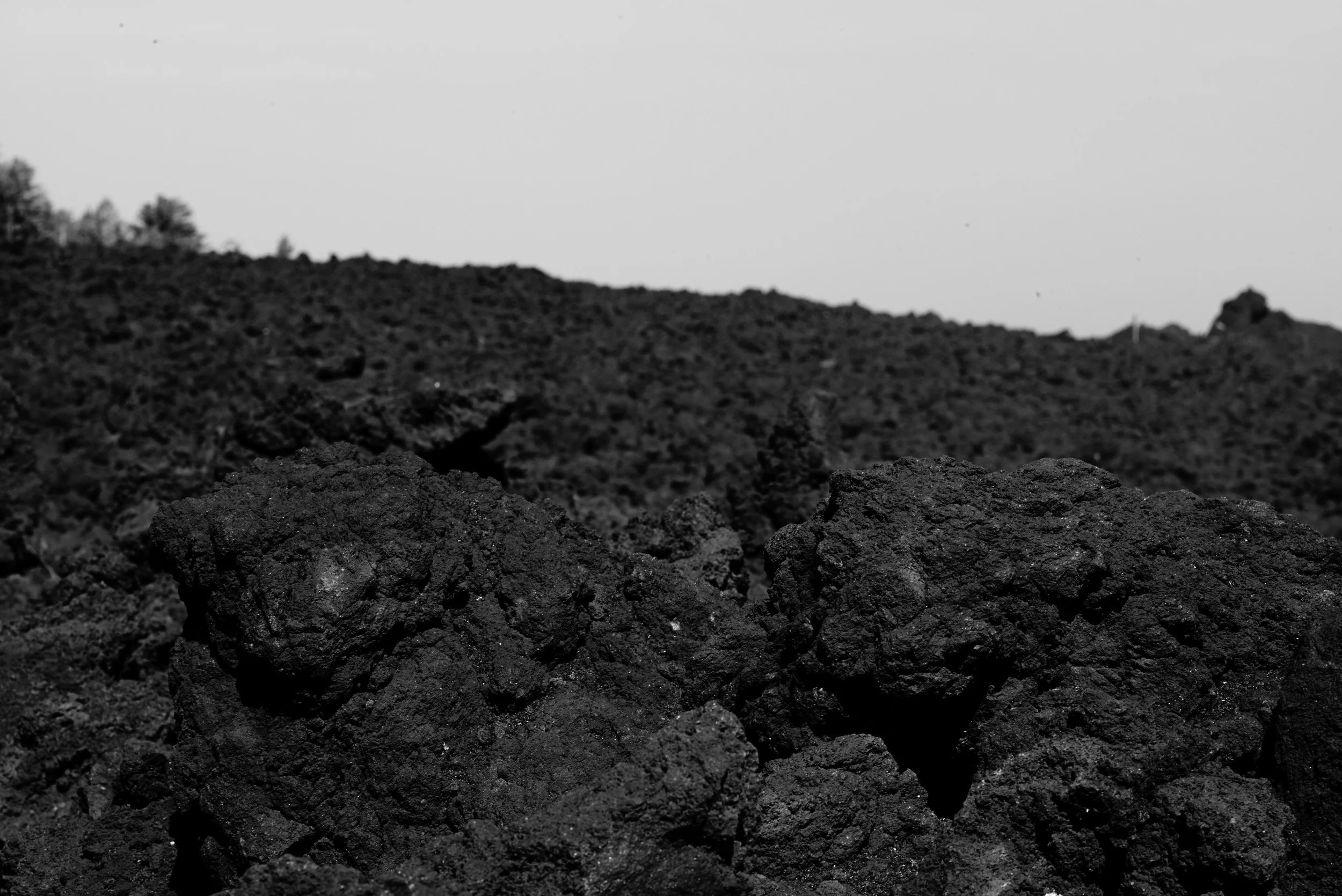 L1000760.jpg