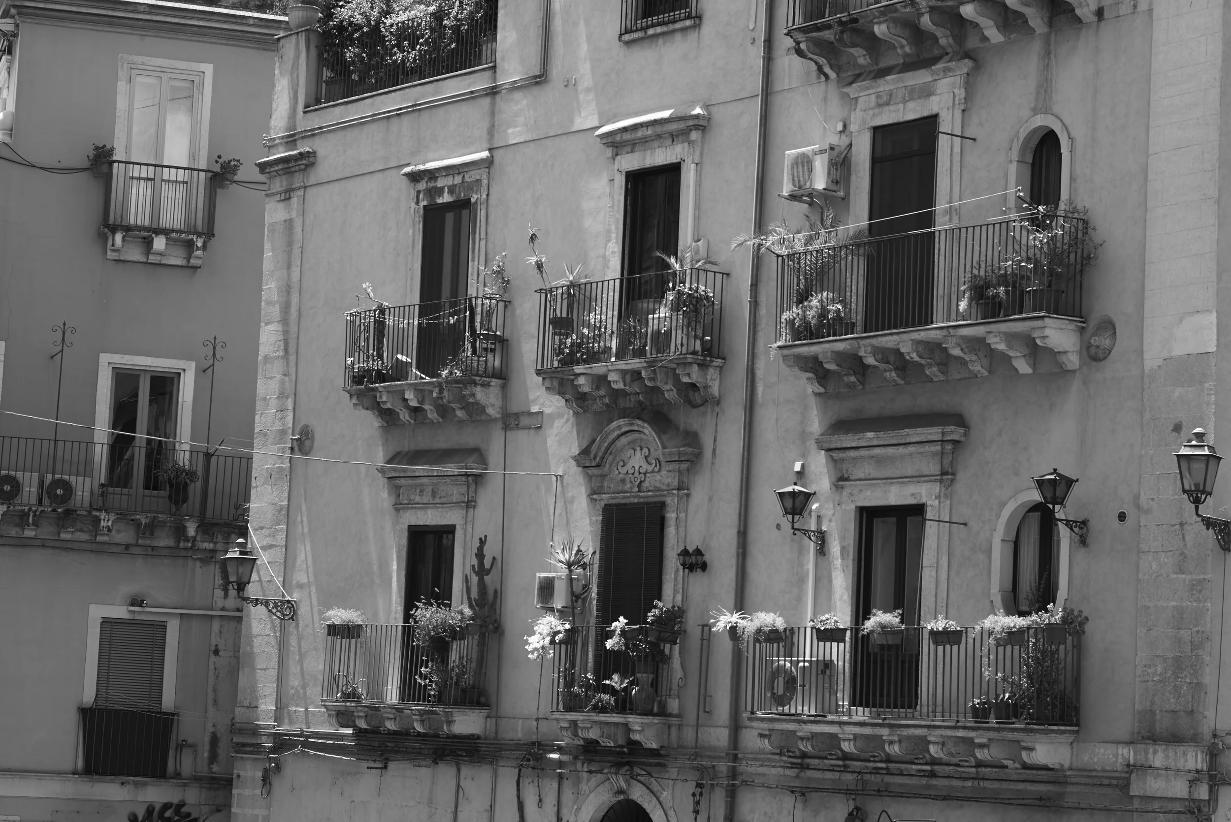 L1000876.jpg