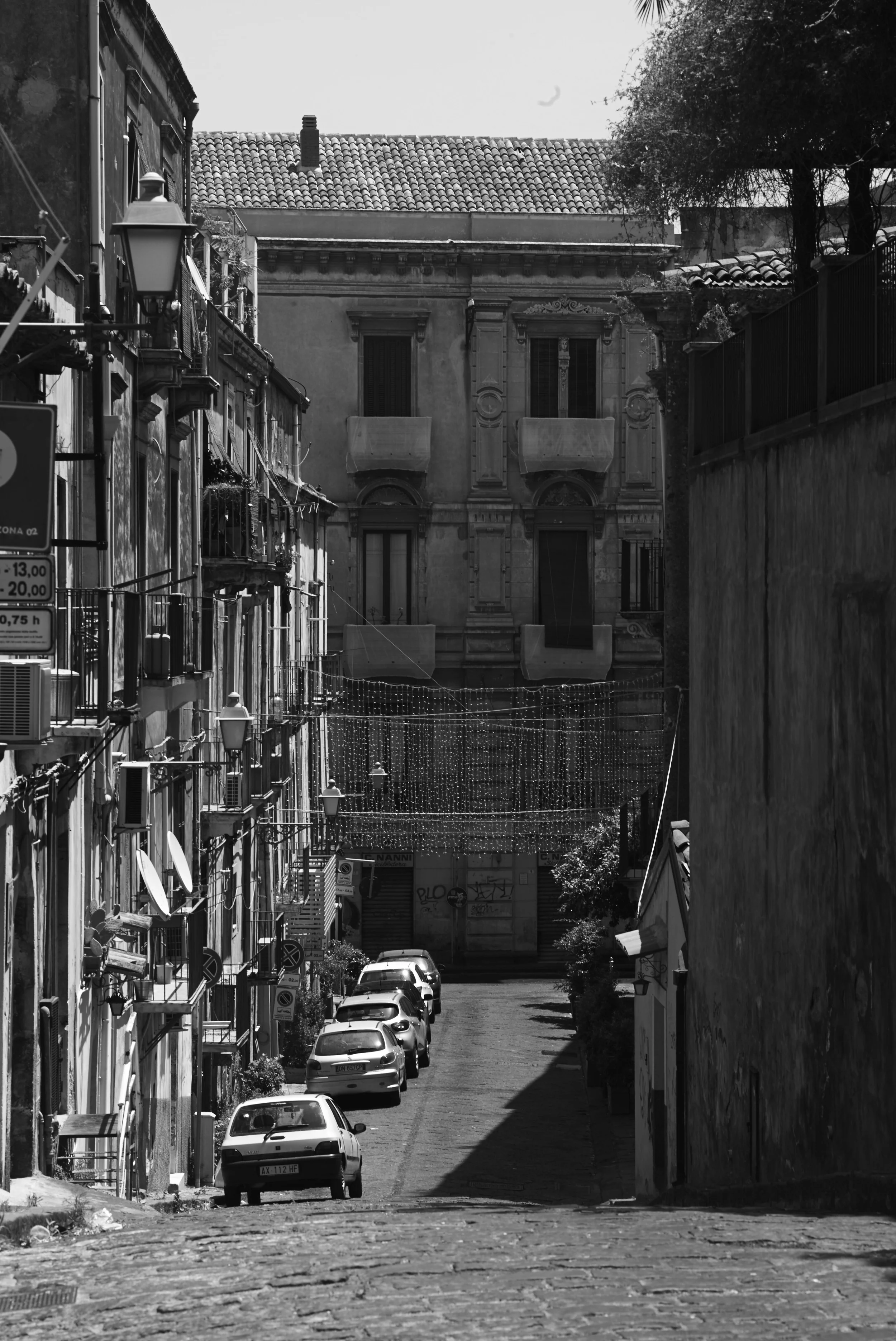L1000890.jpg