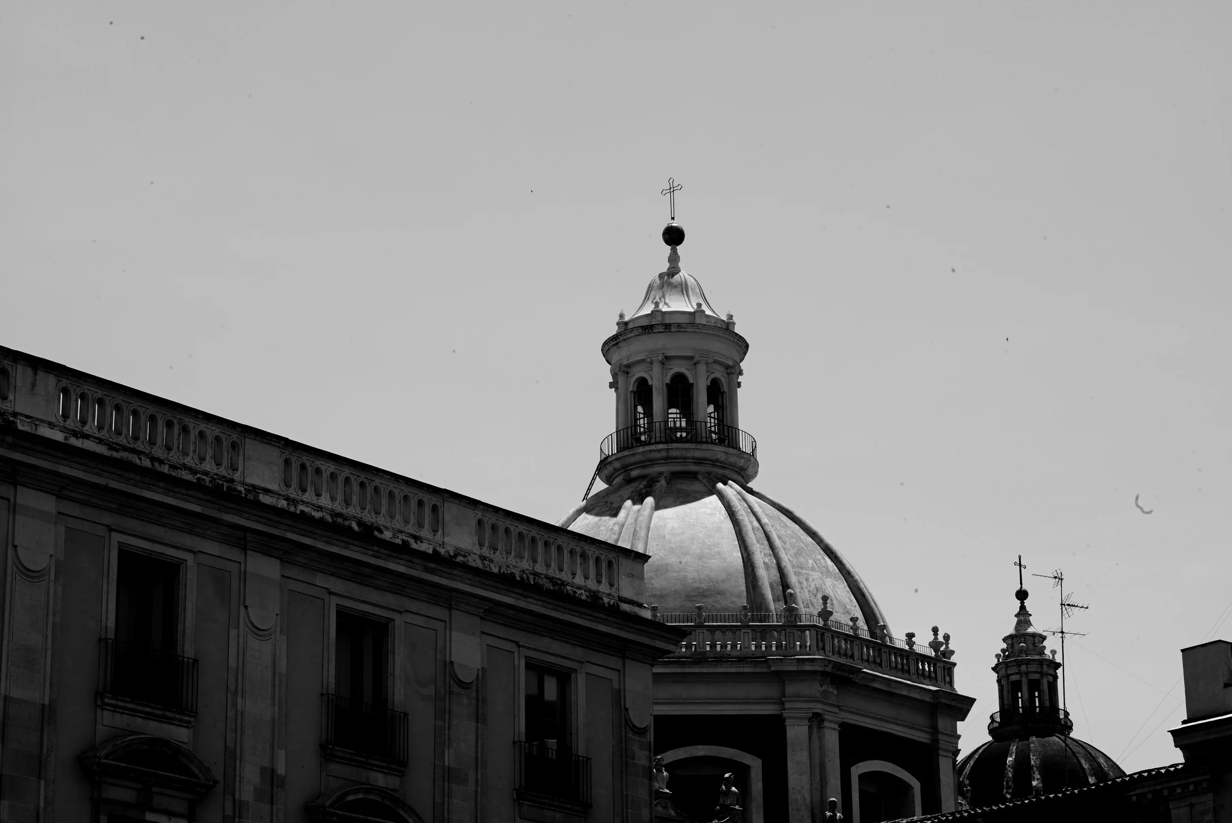 L1000944.jpg