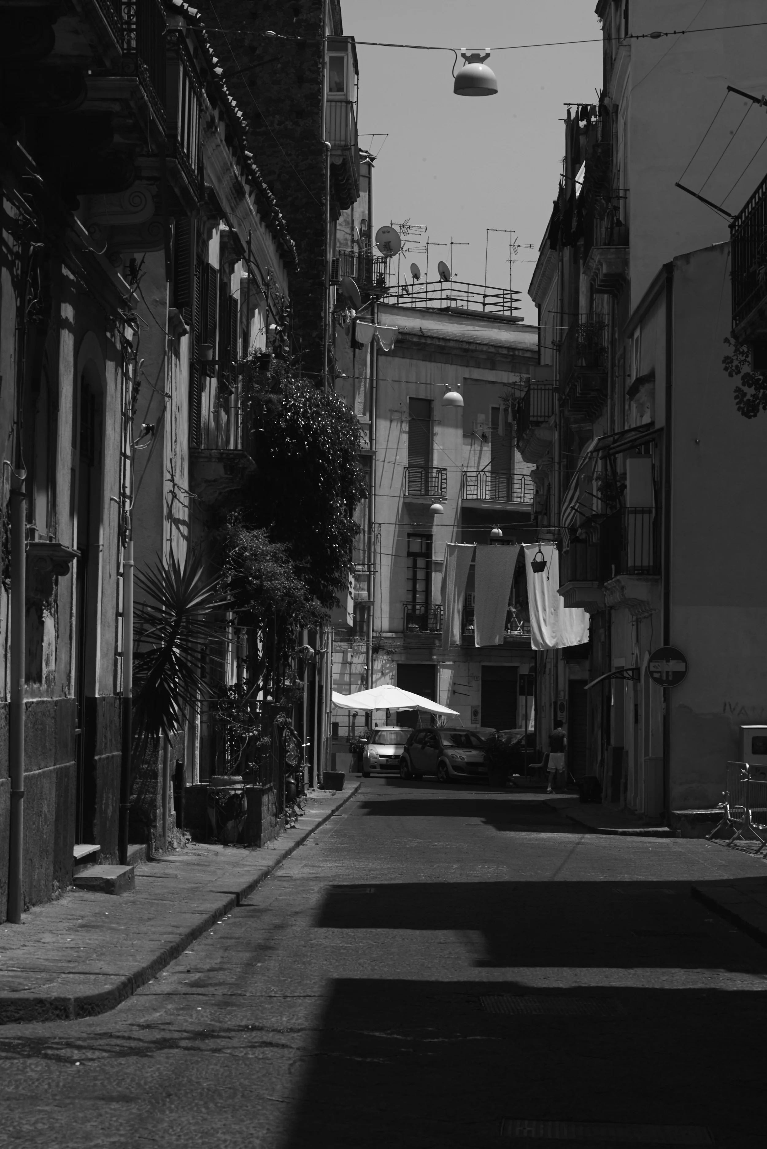 L1001032.jpg