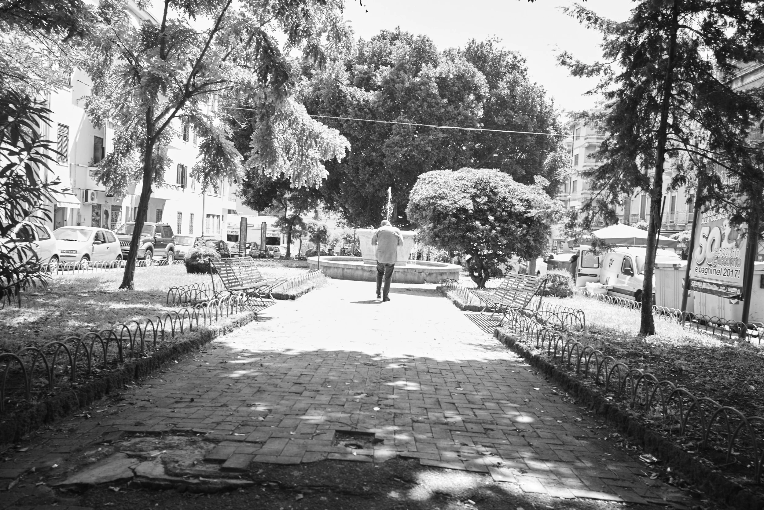 L1001163.jpg