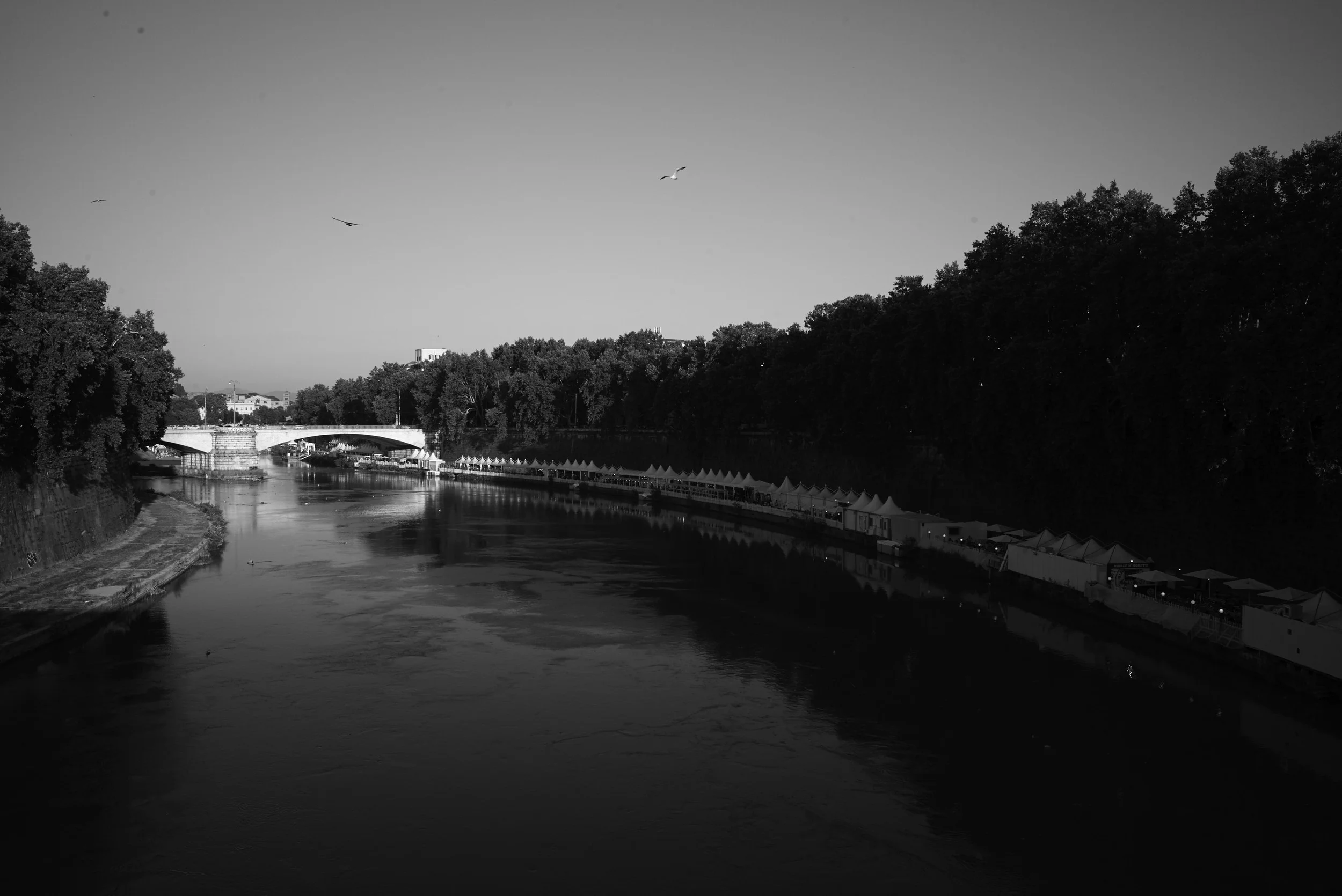 L1001424.jpg