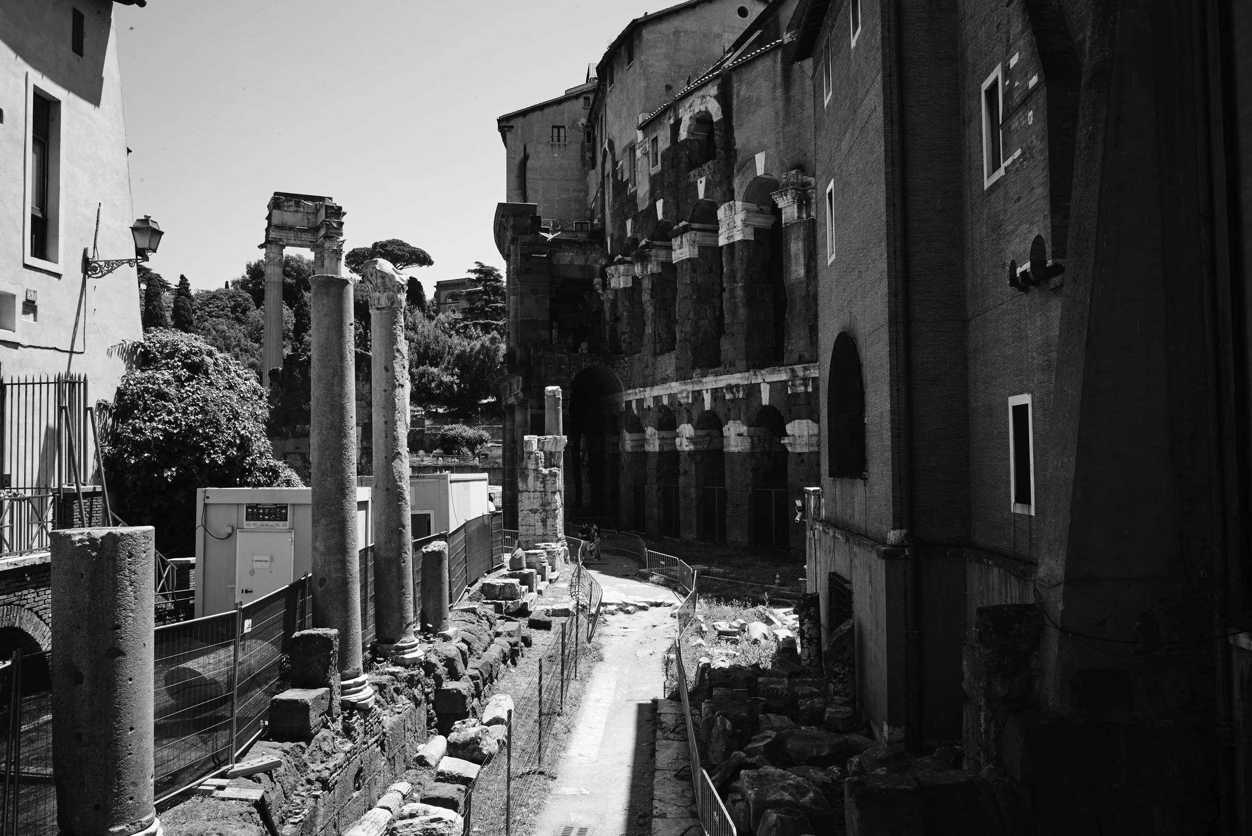 L1001682.jpg