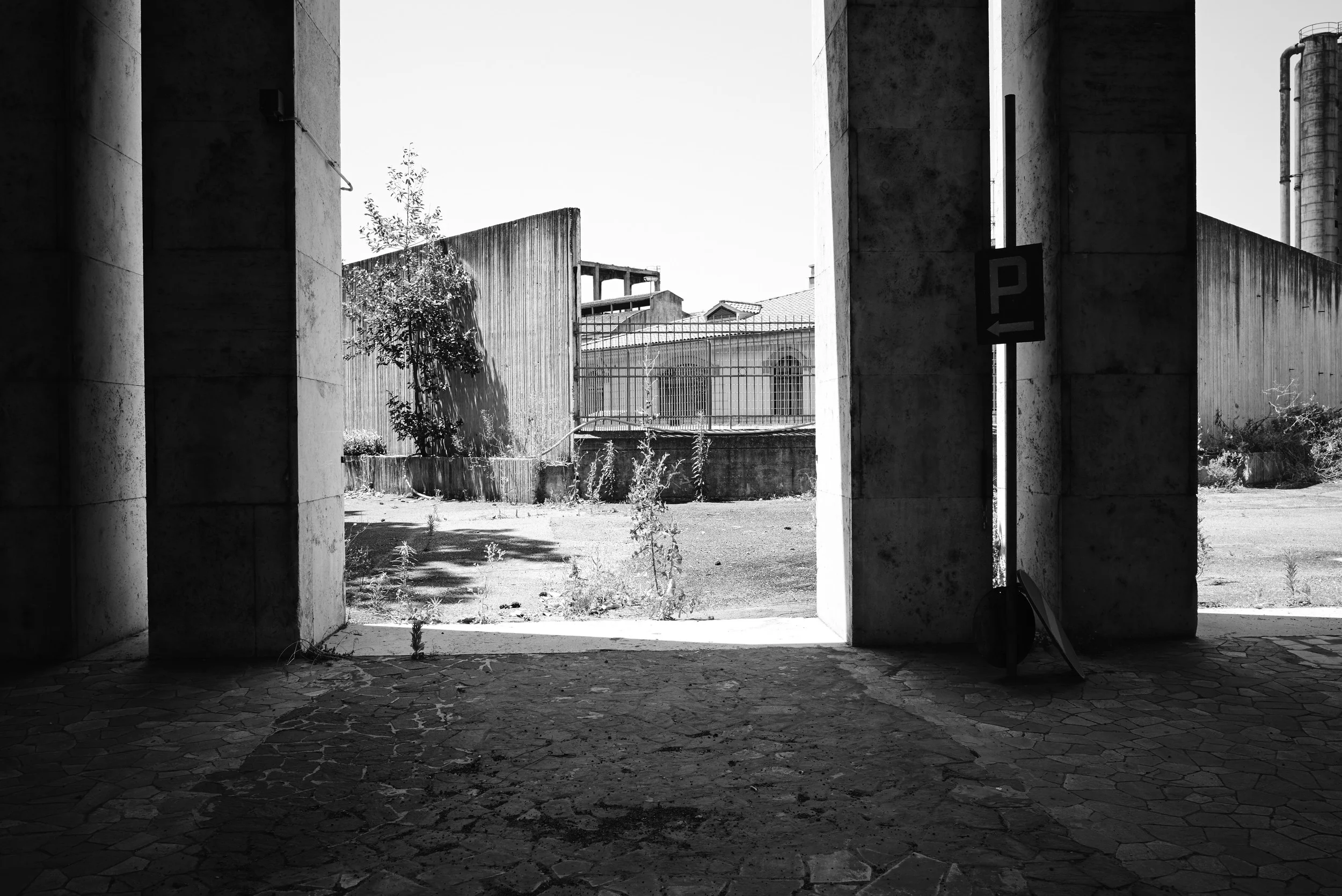 L1001942.jpg