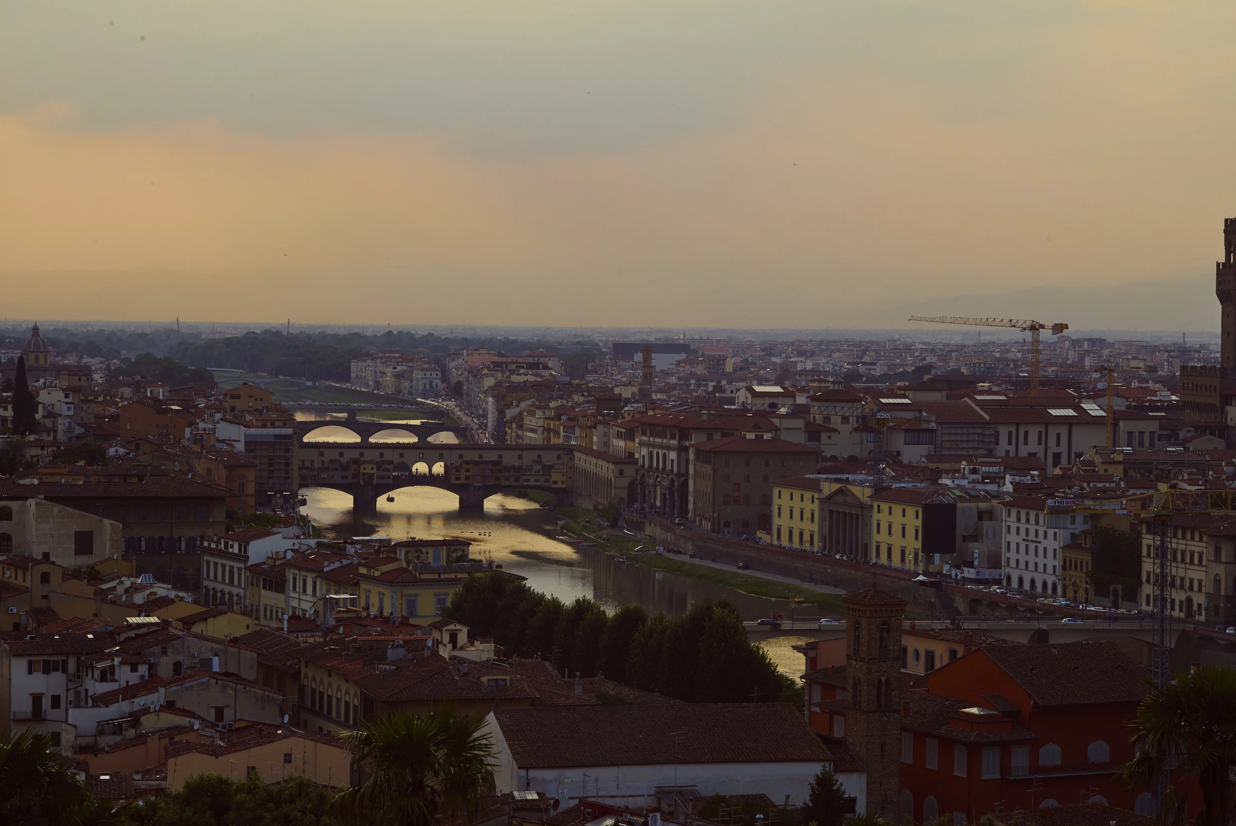 L1003075.jpg