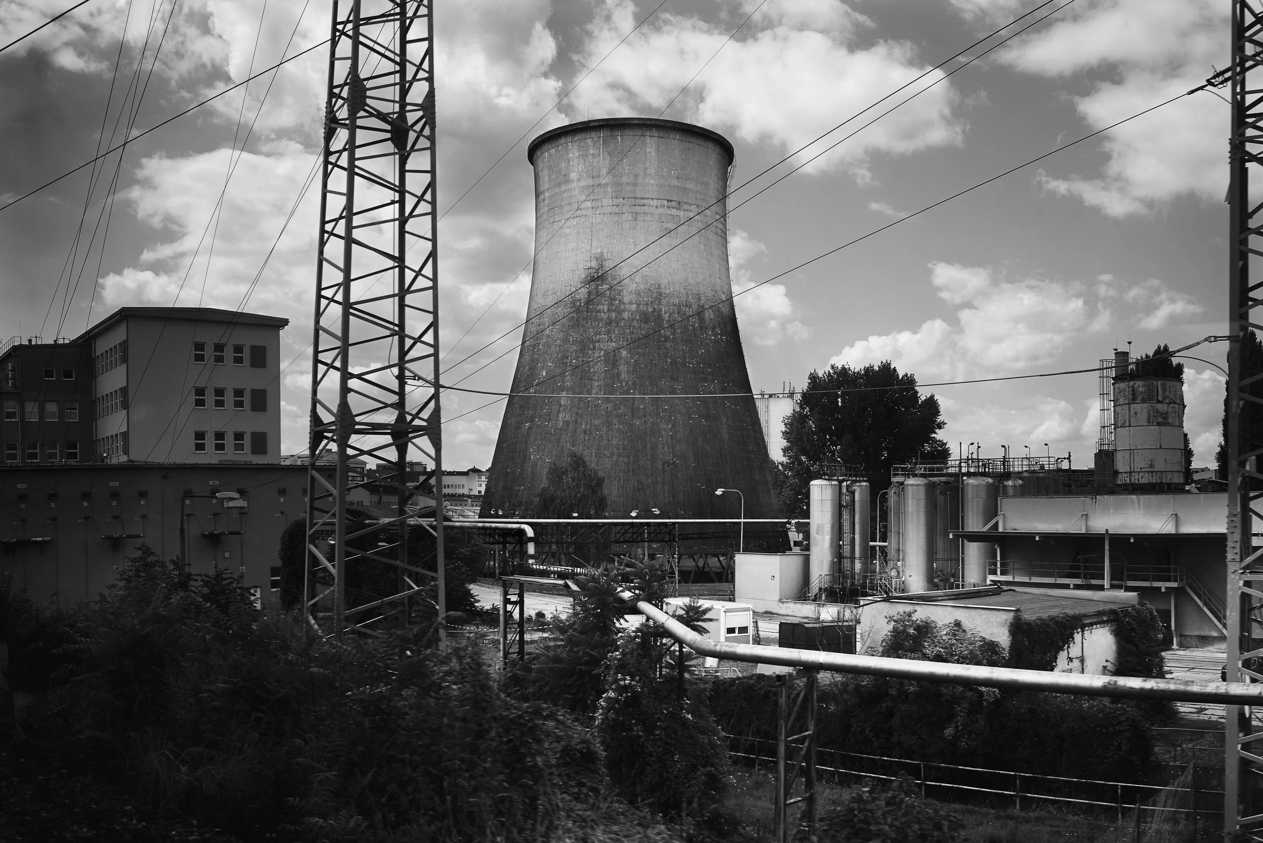 L1005357.jpg
