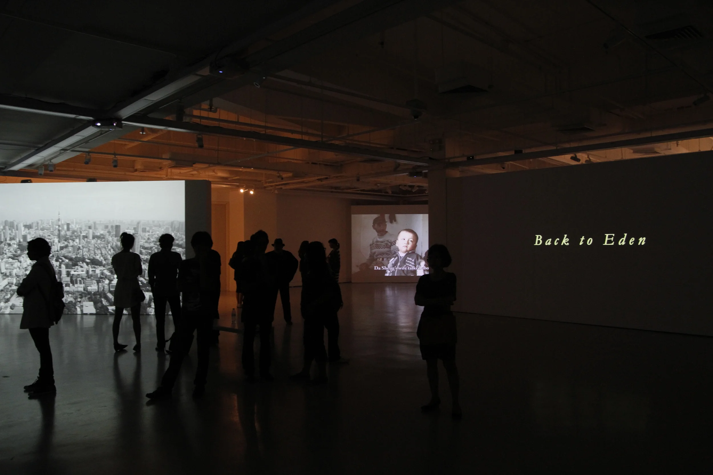 Back to Eden_Videologue_a.JPG