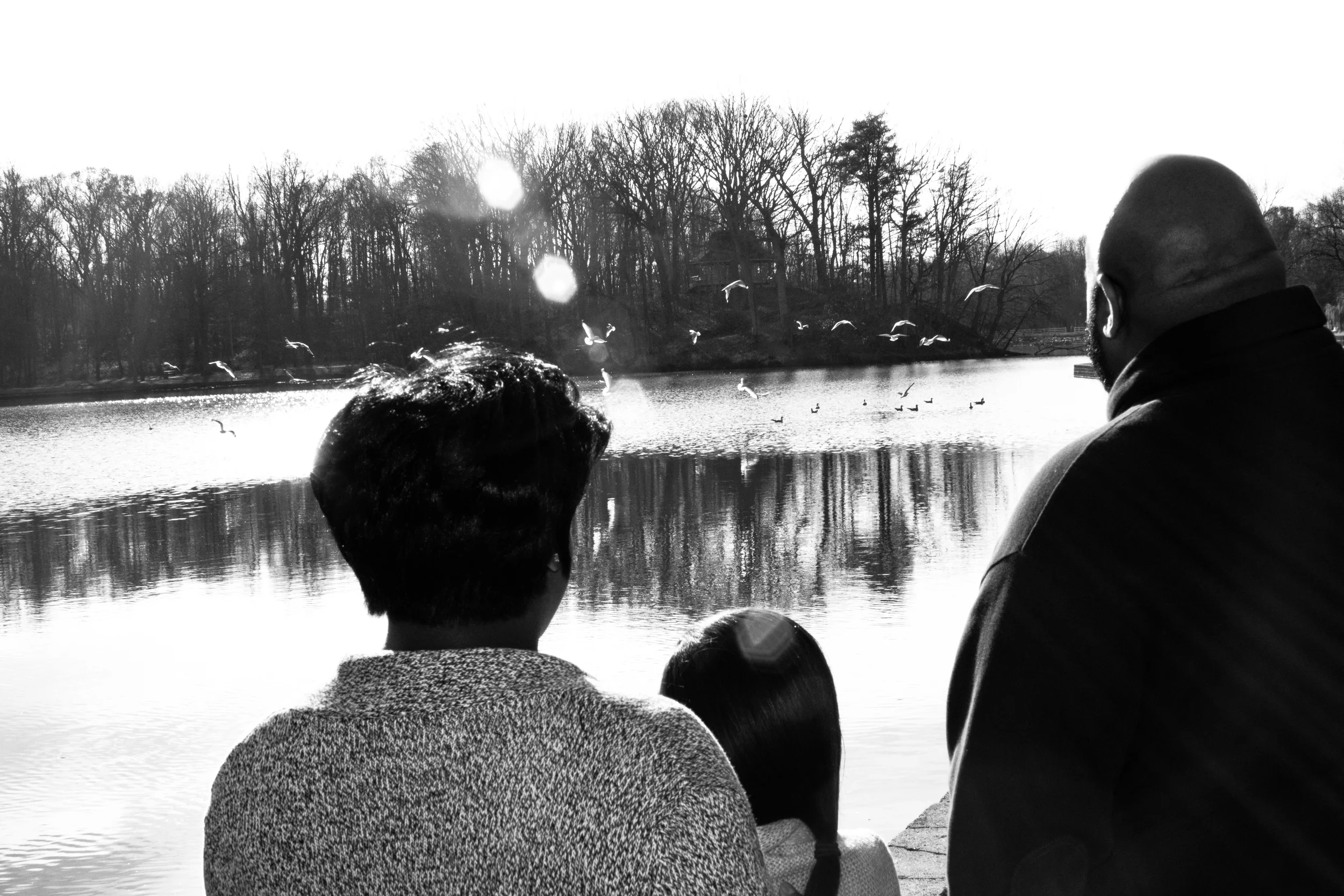 (Dec 06 2015 04-04 PM)Canon Canon EOS REBEL T2i(5184x3456)3937280.jpg