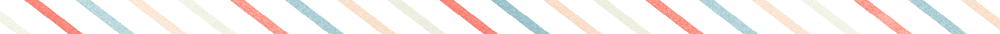 lizmeyer-banner-1.png