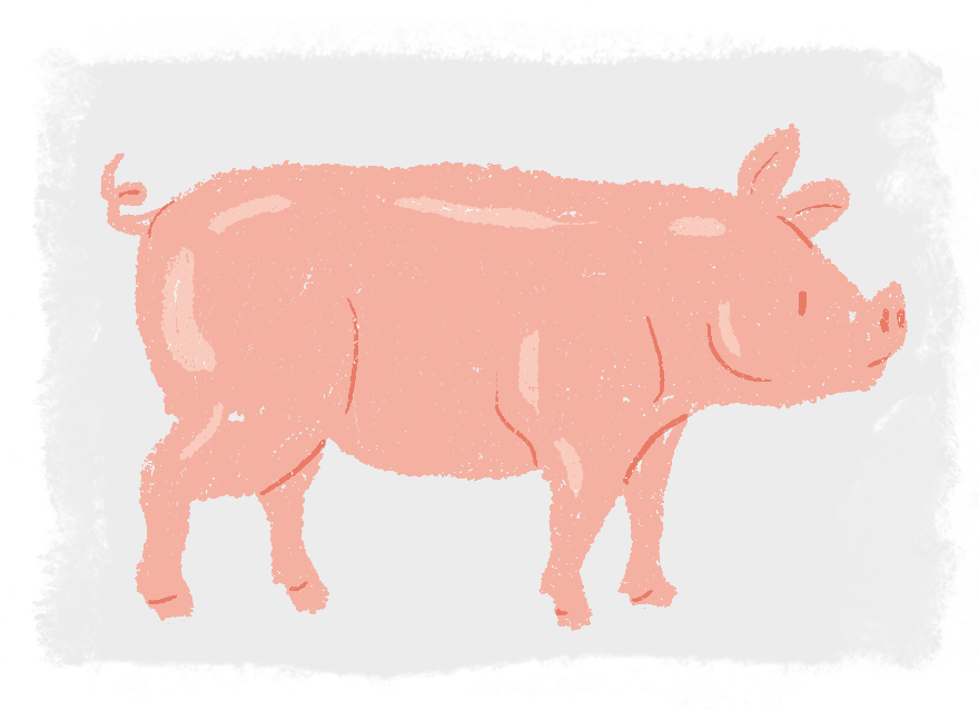 piggy.png