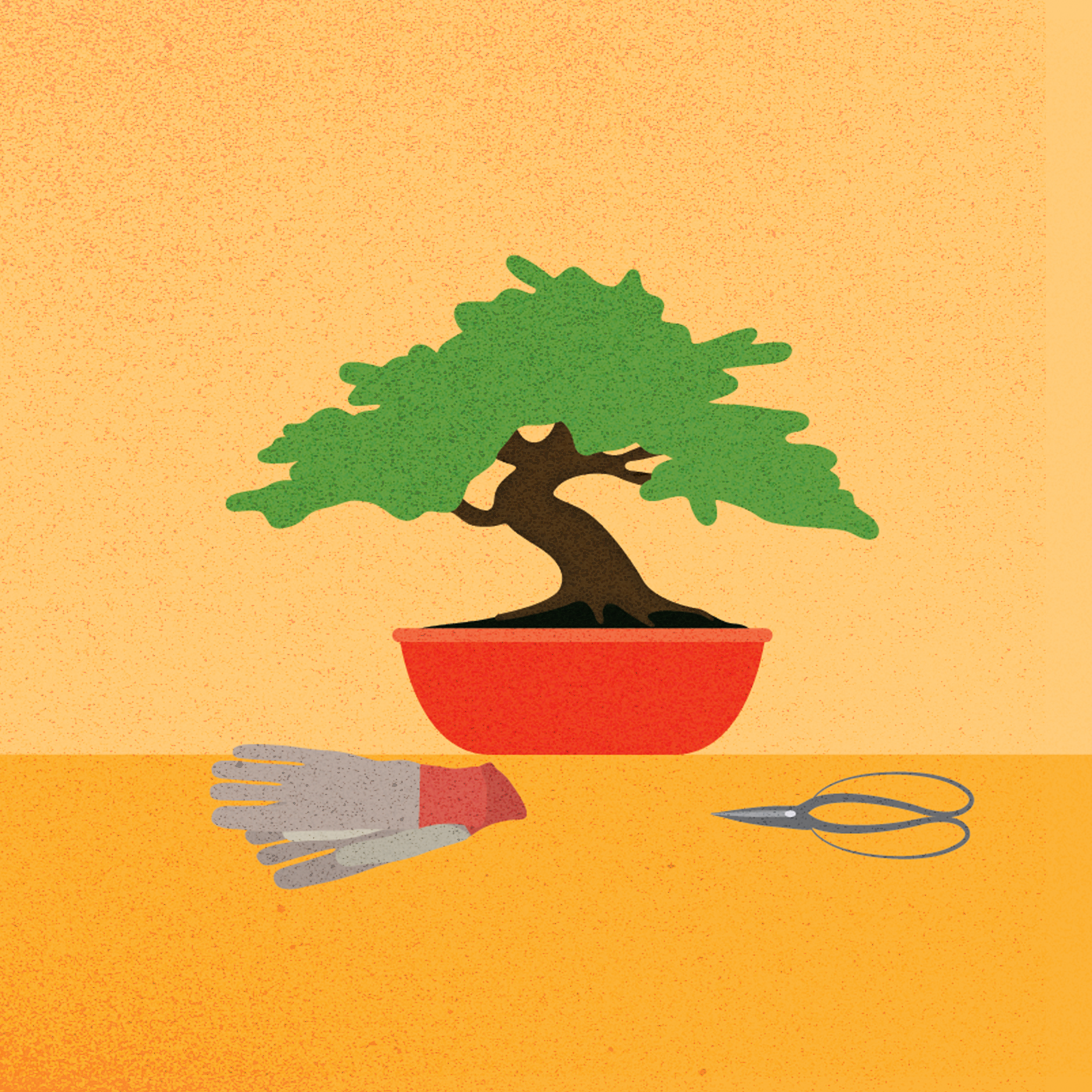 RelaxingBonsai.png