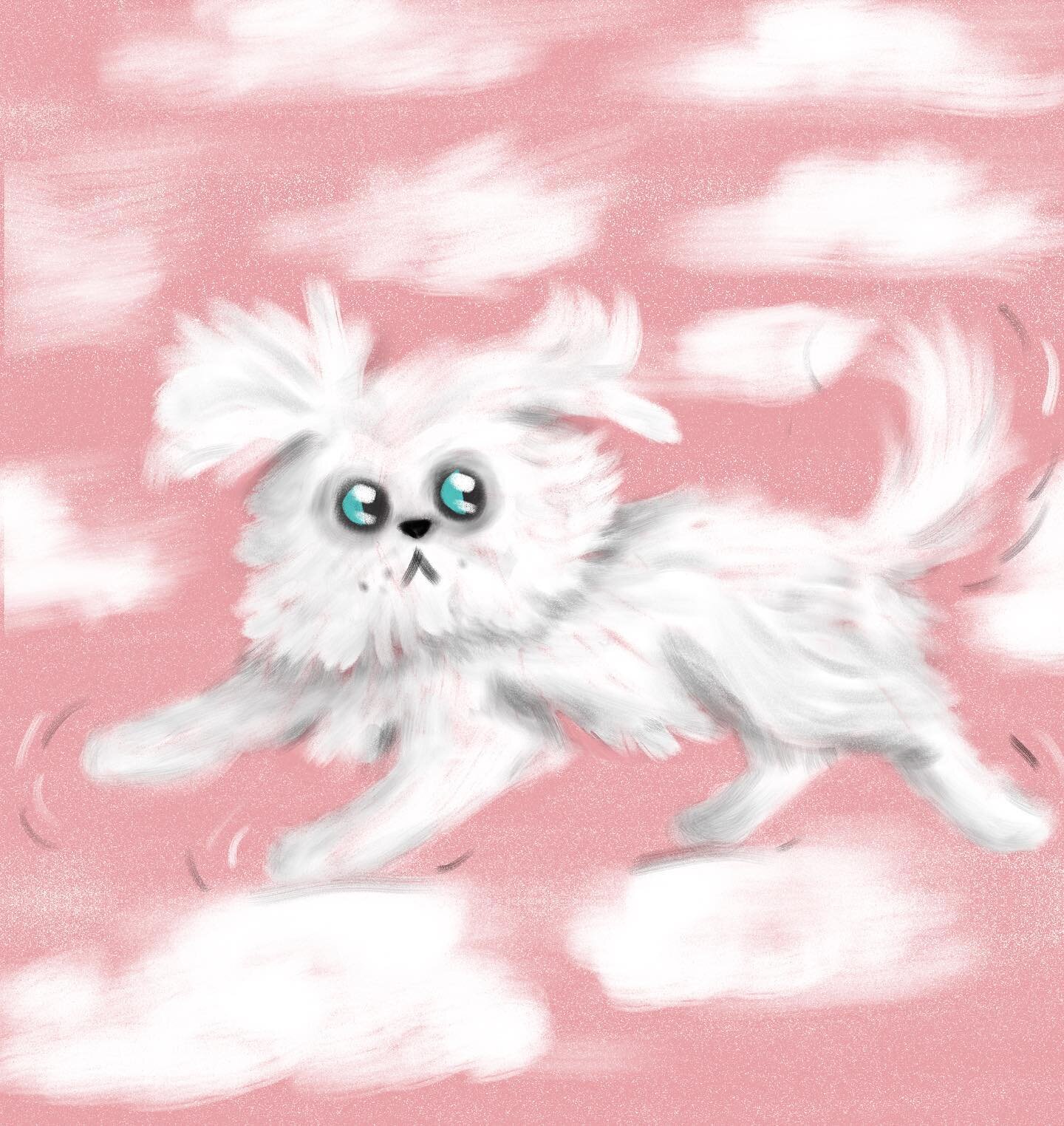Lil Guy is running through the clouds