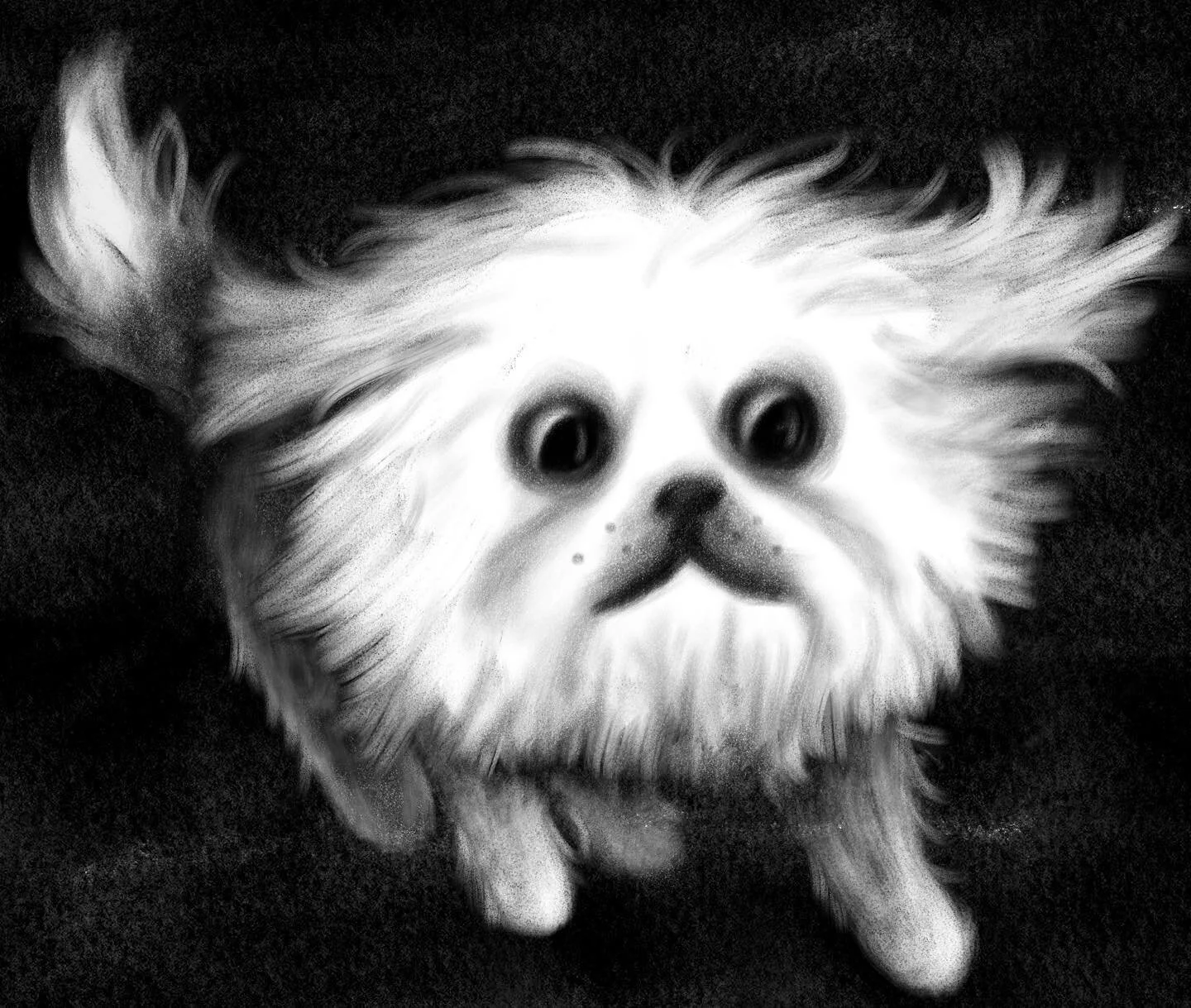 little guy, running in the dark

#illustrationartists