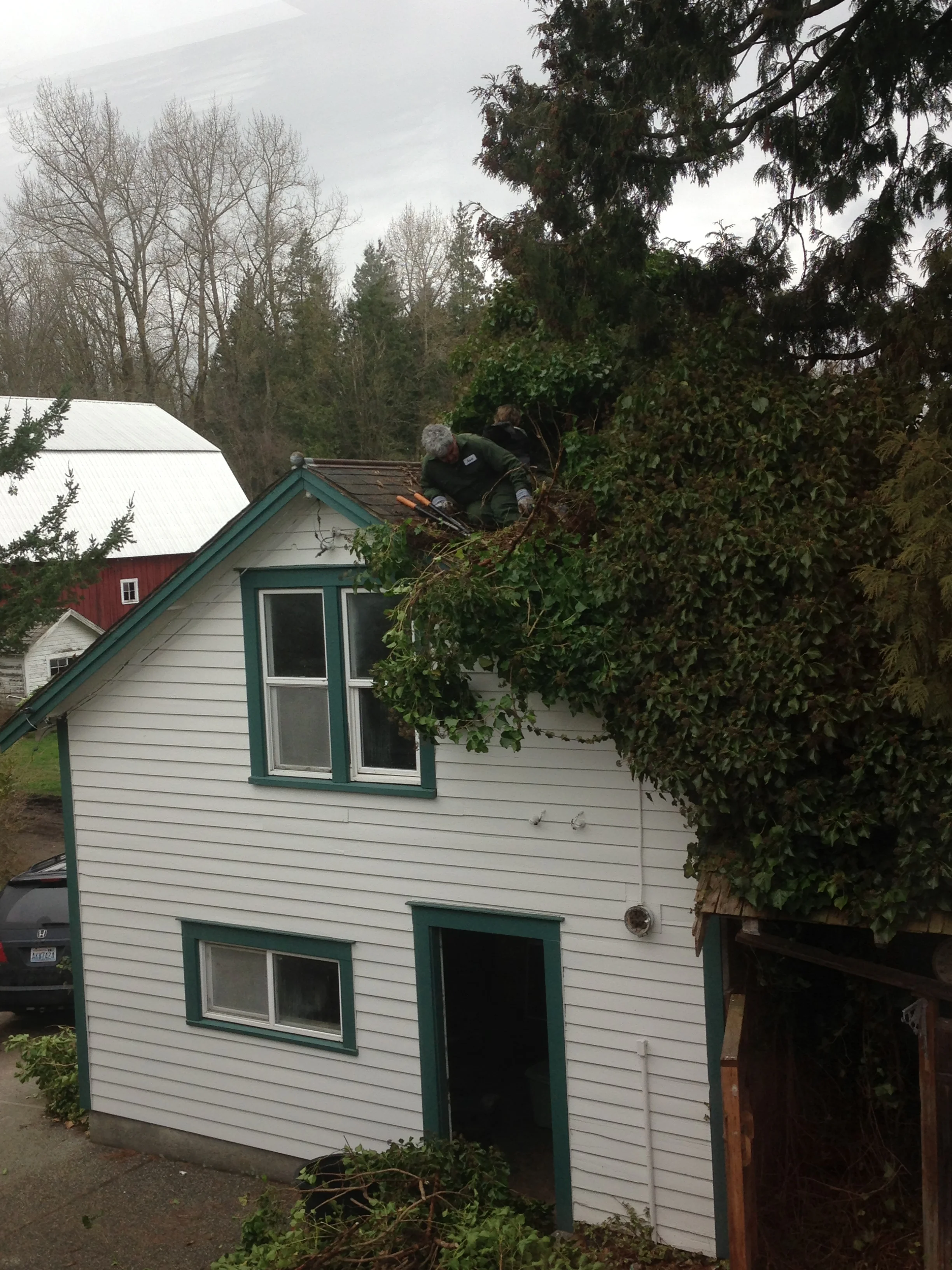 The guesthouse