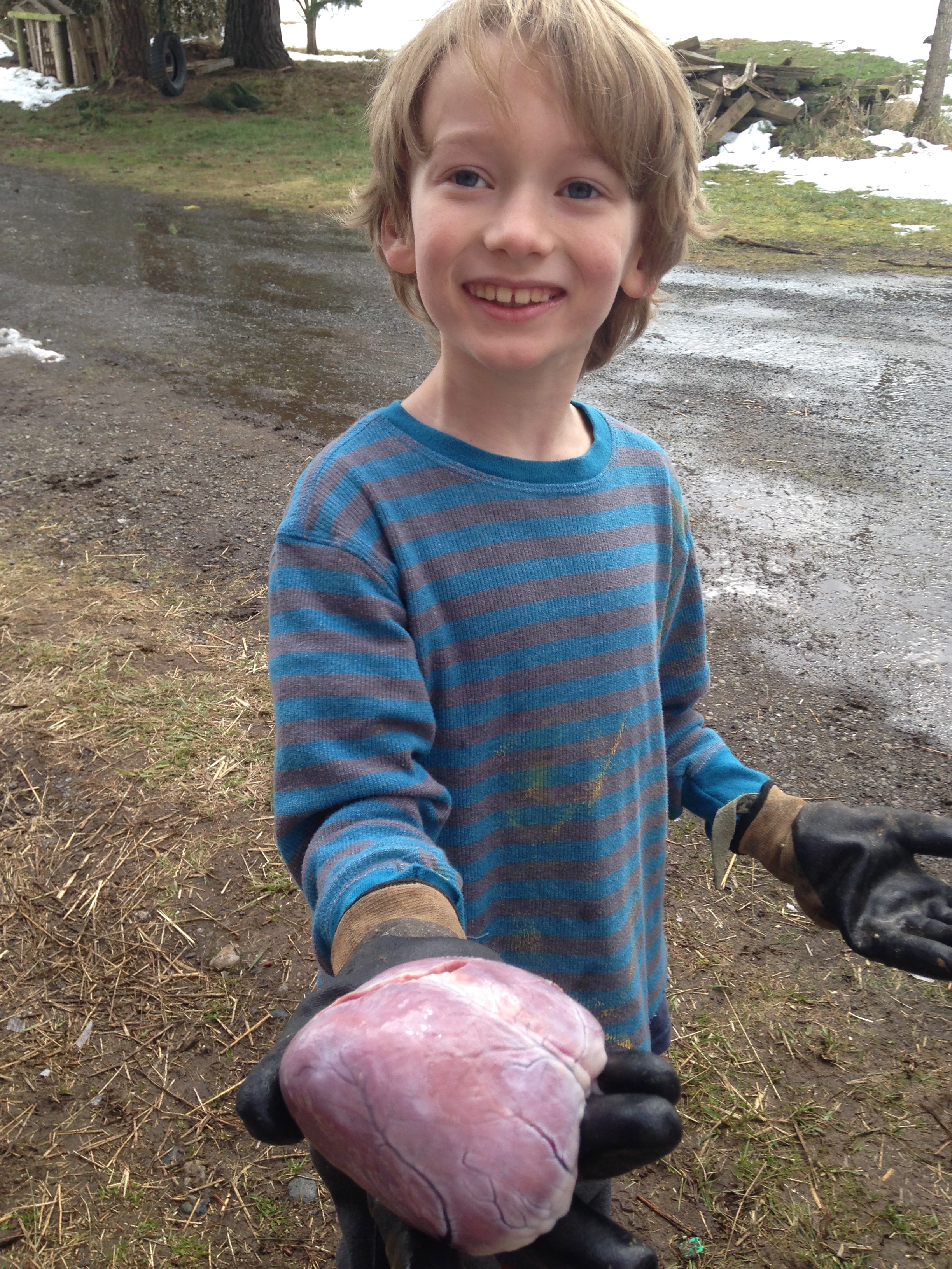  Sander wanted to hold the heart. Then cried about it all afternoon.&nbsp; 