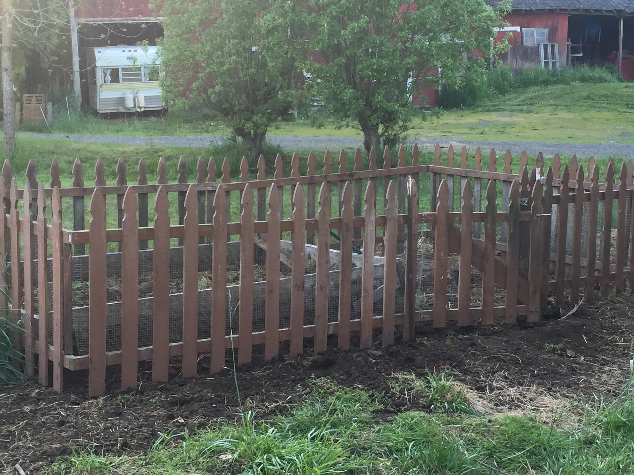 This is the garden where we're going to put the stuff that chickens will destroy: Lettuce, tomatoes, flowers.
