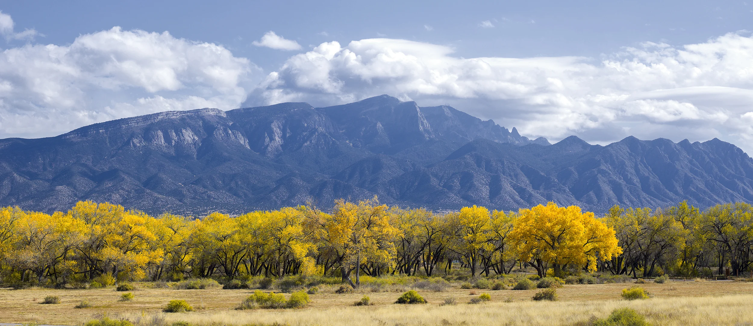 ALBUQUERQUE, NM