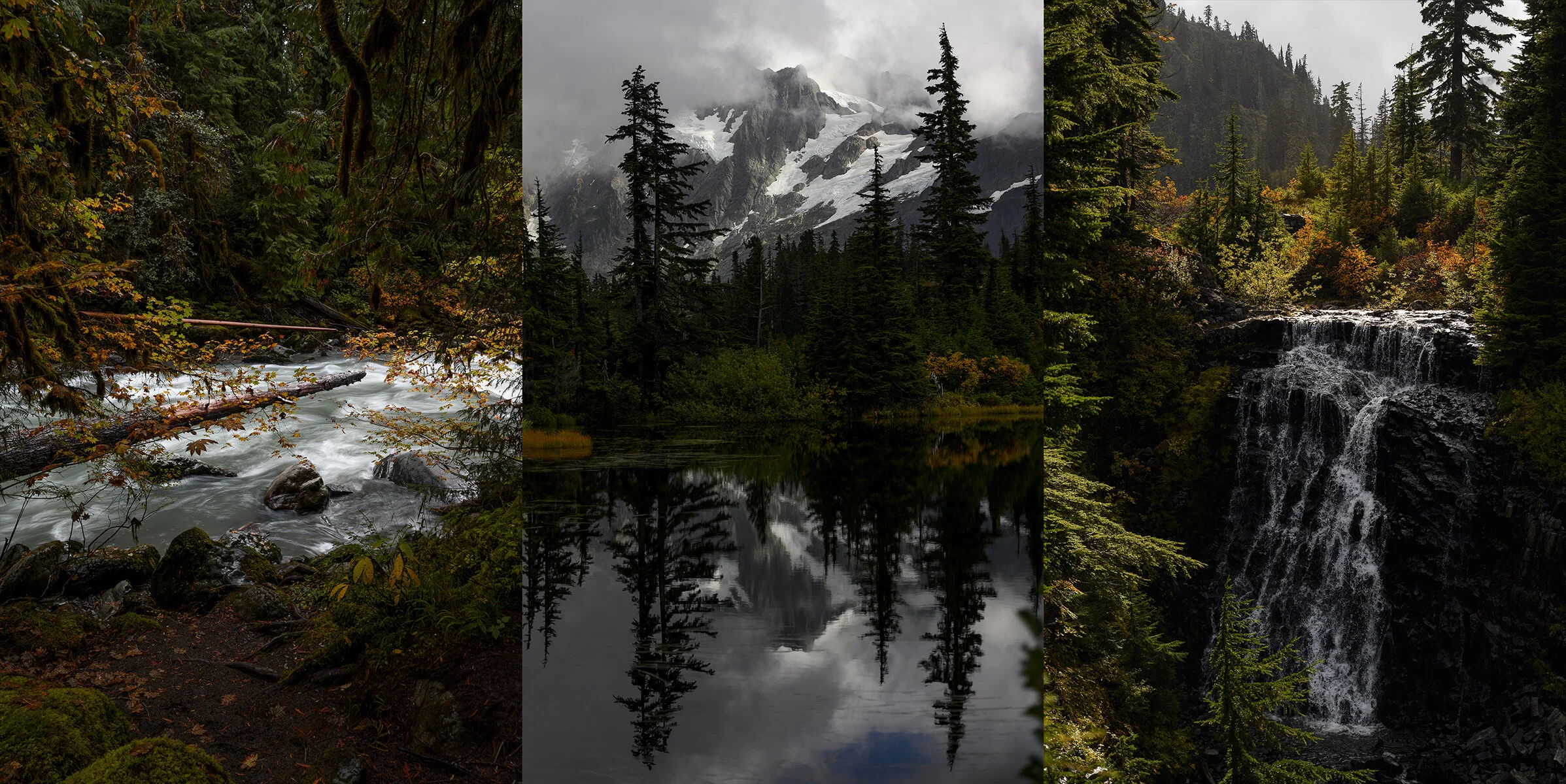 MT. BAKER-SNOQUALMIE NATIONAL FOREST