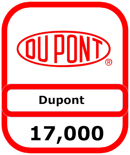 dupont-loss1.png