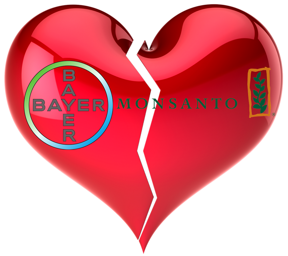 Am I Next? Bayer Monstanto Acquisition