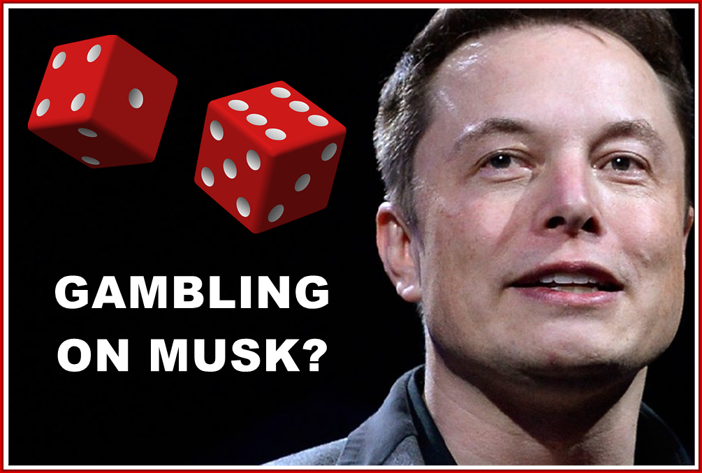 Am I Next? Rolling the dice with Elon Musk