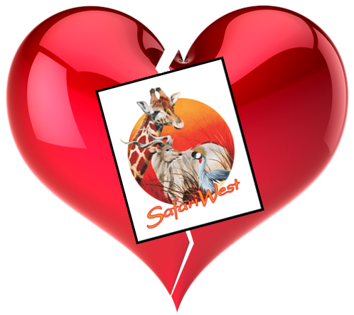 AM I NEXT? NO LOVE AT SAFARI WEST