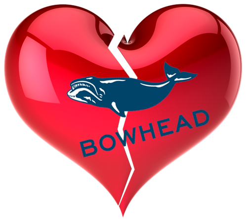 AM I NEXT? NO LOVE AT BOWHEAD LOGISTICS MANAGEMENT