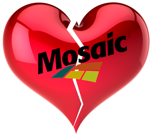 AM I NEXT? NO LOVE AT MOSAIC