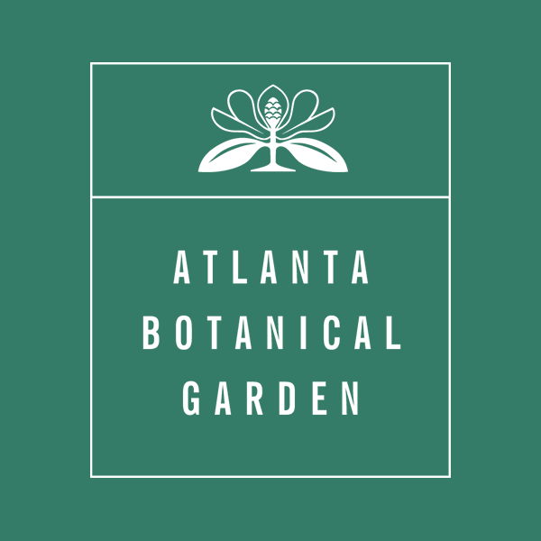 Cardboard Silly Show at the Atlanta Botanical Garden's Sensory Friendly Afternoon