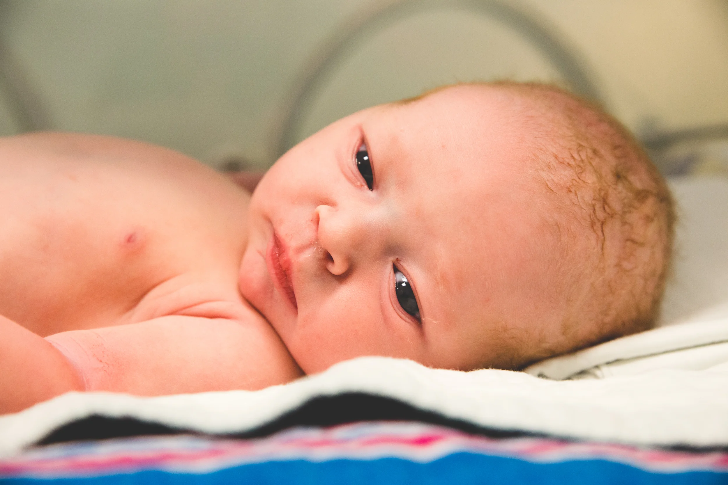 Rose Emmeline | The First Week