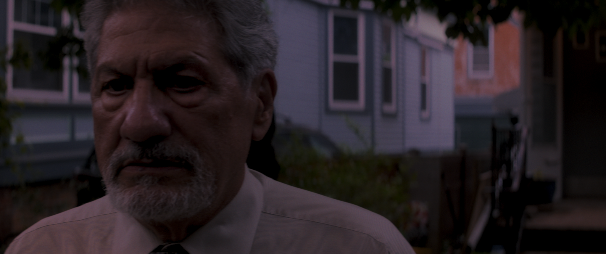 TWFH_FINAL_4_Festival Cut.00_07_45_07.Still040.png