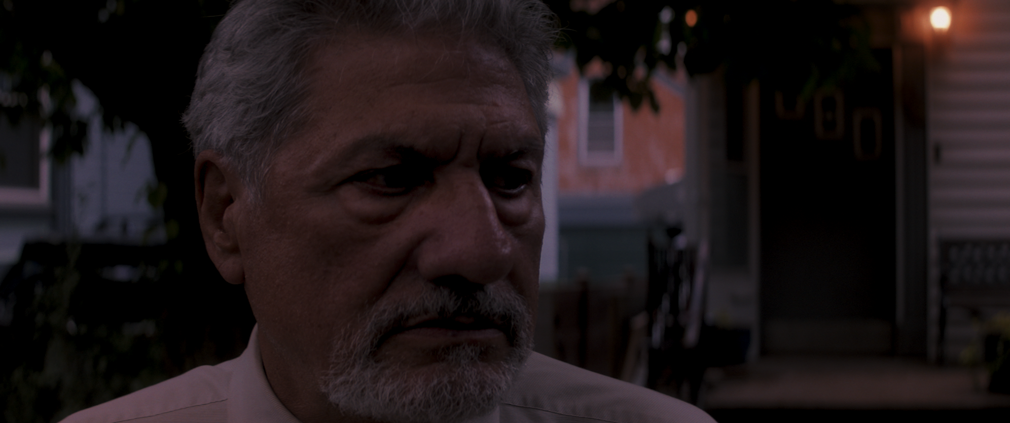 TWFH_FINAL_4_Festival Cut.00_07_52_19.Still041.png